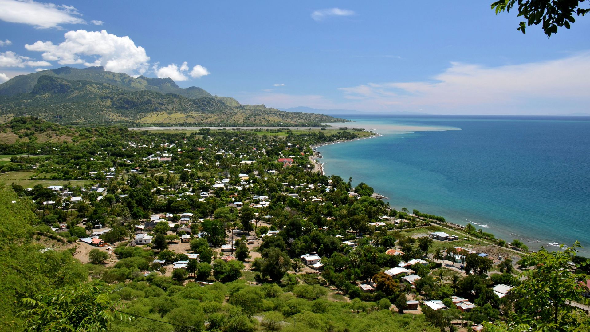 green trees near body of water under blue sky during daytime