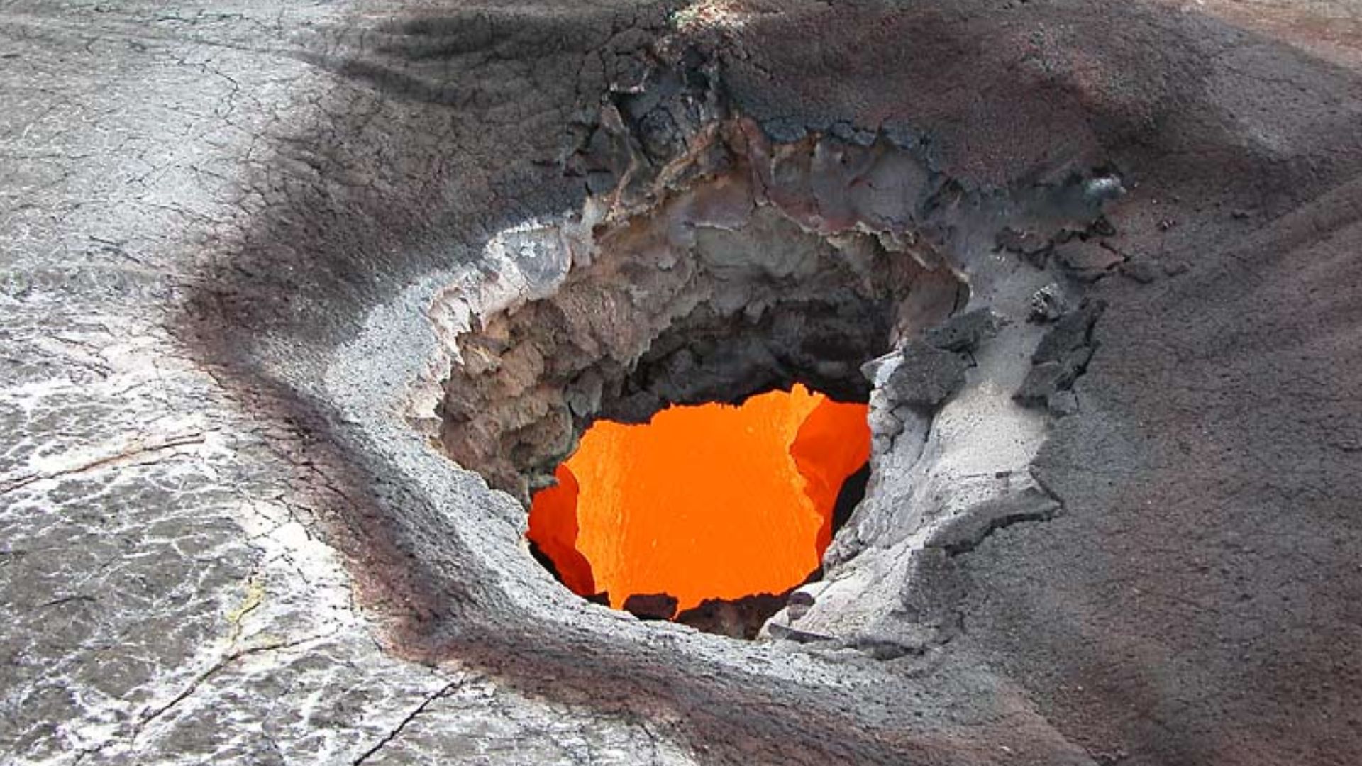 File:Petunia skylight.jpg