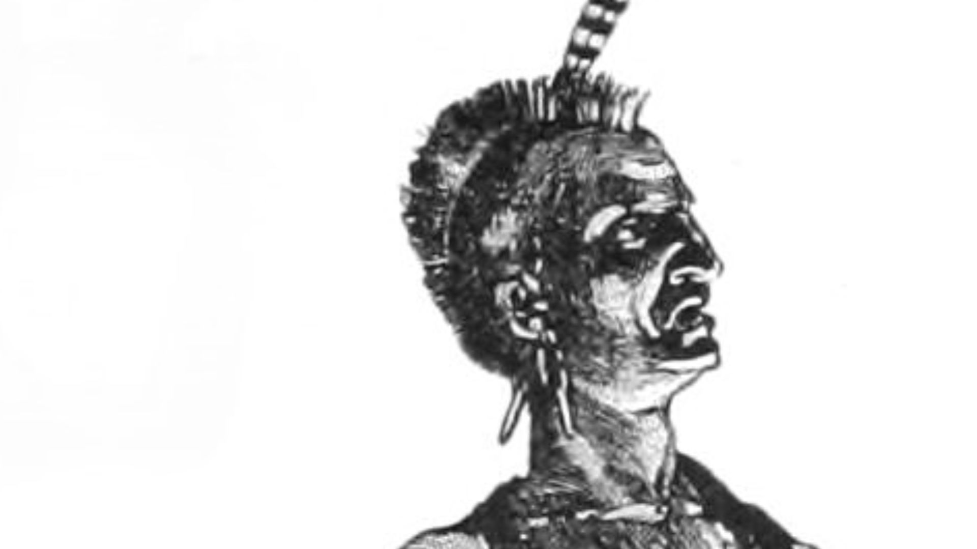 File:Powhatan p35 of The household history of the United States and its people, for young Americans (1901).jpg