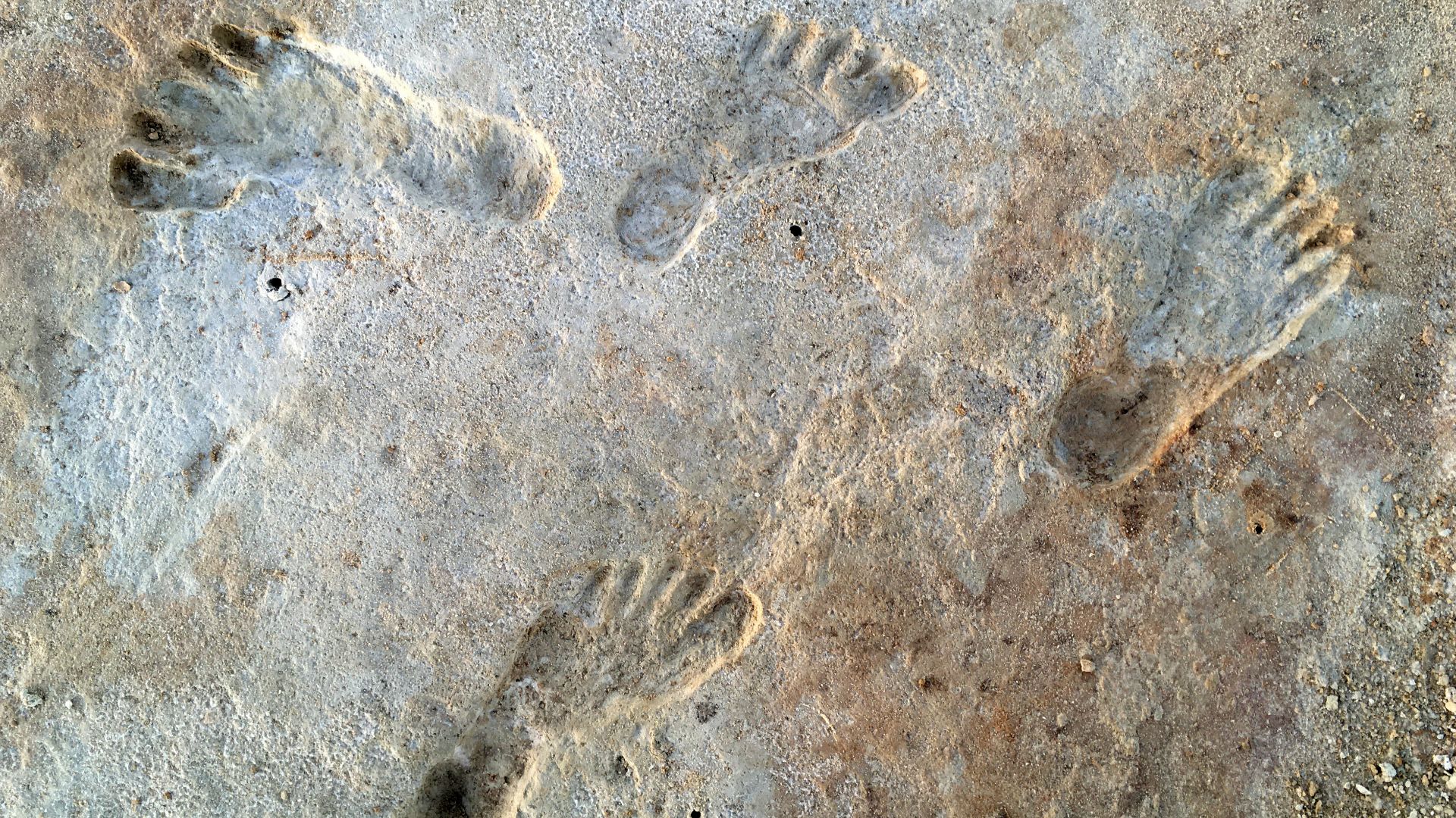 File:Human fossil tracks at White Sands New Mexico.jpg