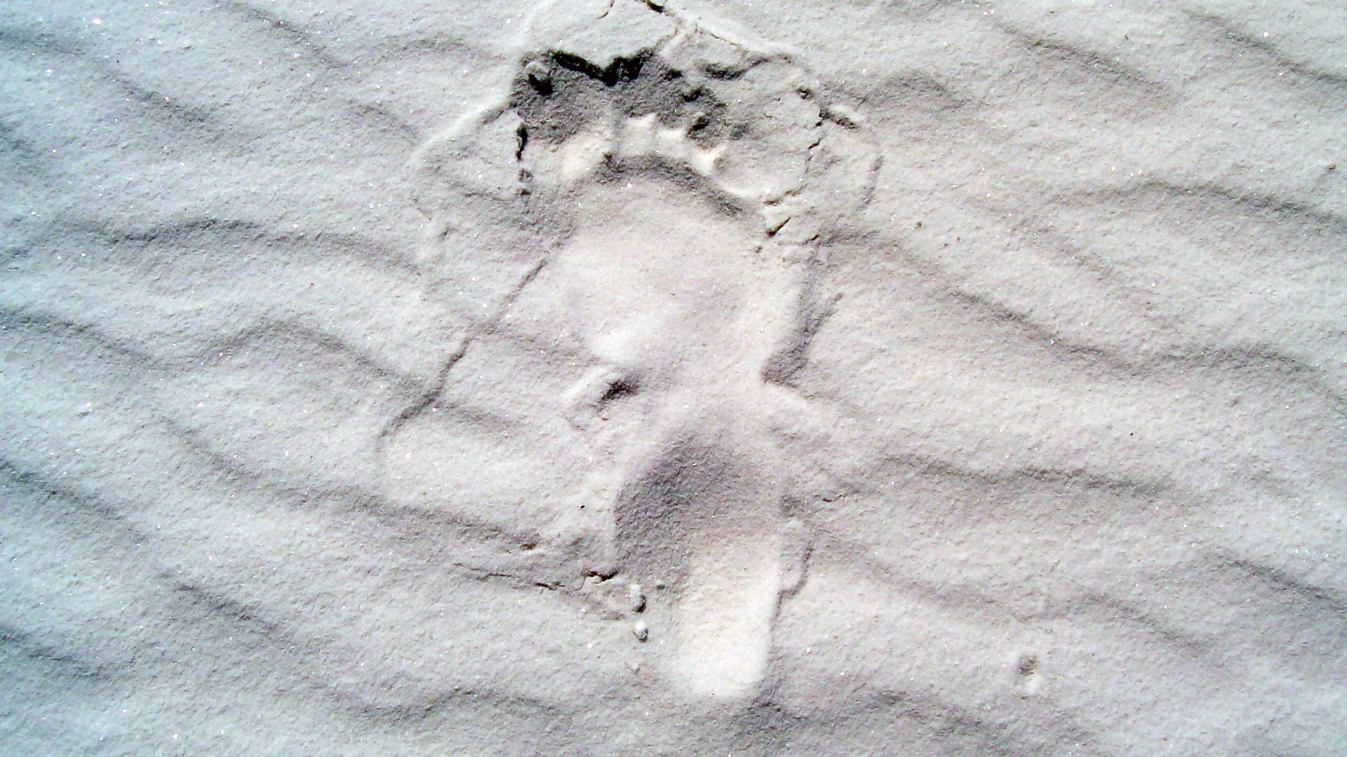 File:Whitesands-footprint.jpg