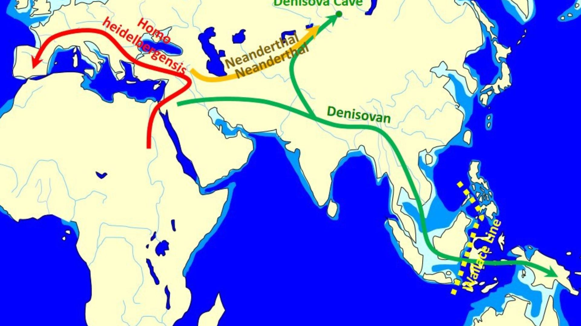 File:Spread and Evolution of Denisovans.jpg