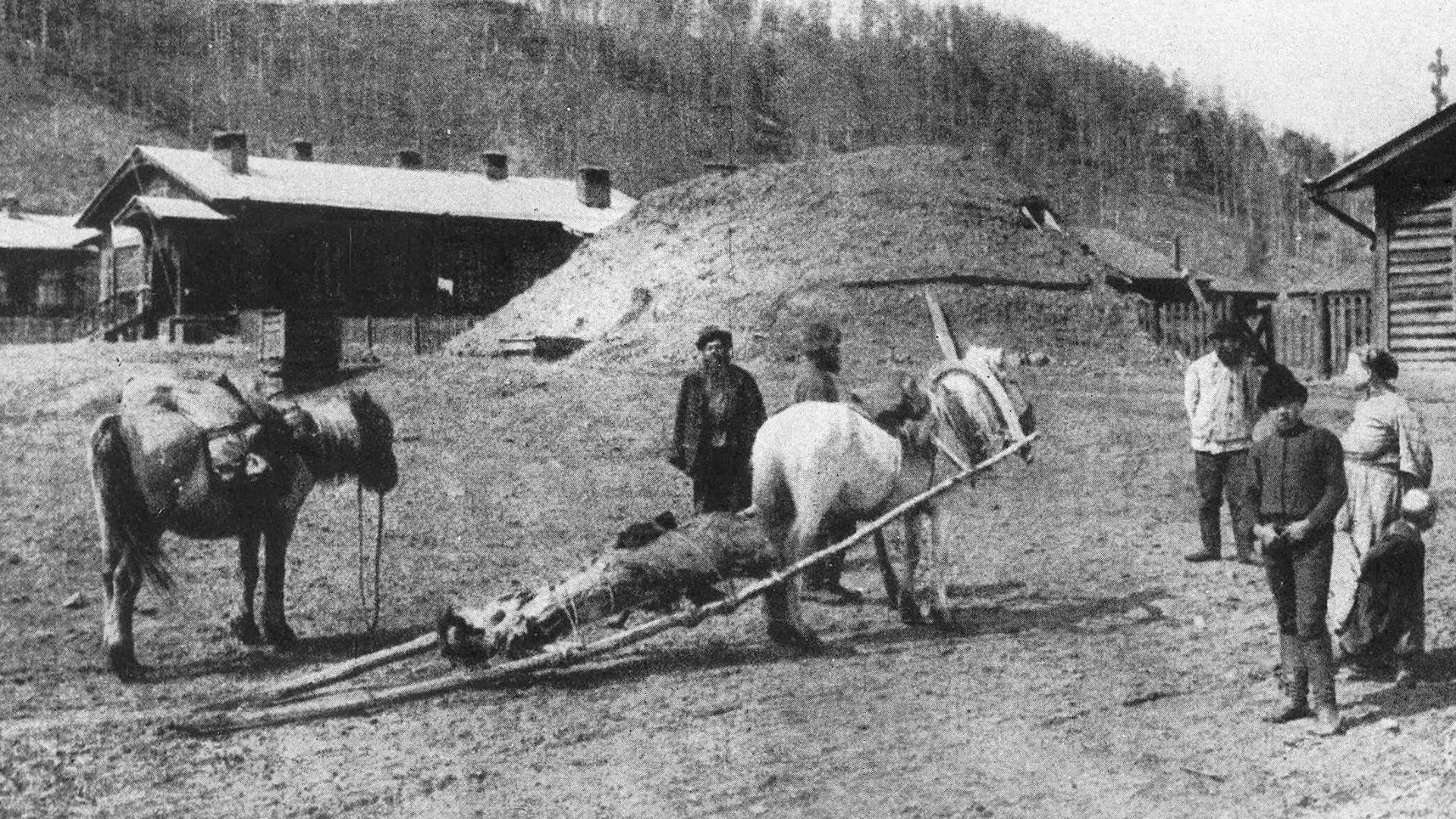 File:P452a Mode of transporting a corpse through the taiga in the Amur country.jpg
