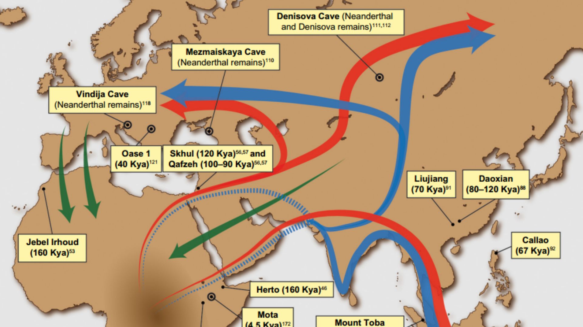 File:Putative migration waves out of Africa.png