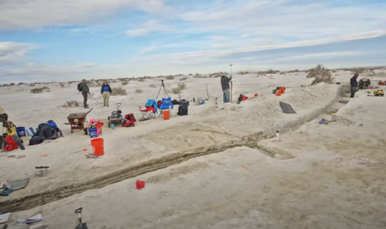 Interdisciplinary Research