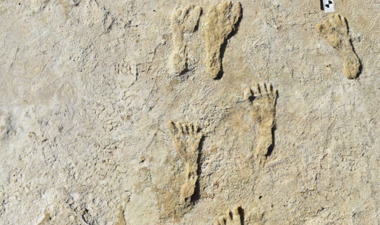 Aerial of at least two fossilized human footprint tracks.