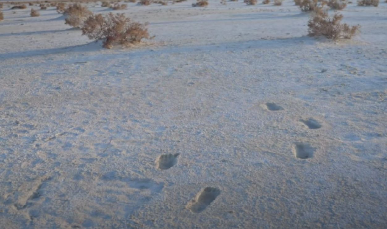 20,000 yr old Human footprints in White Sands National Park