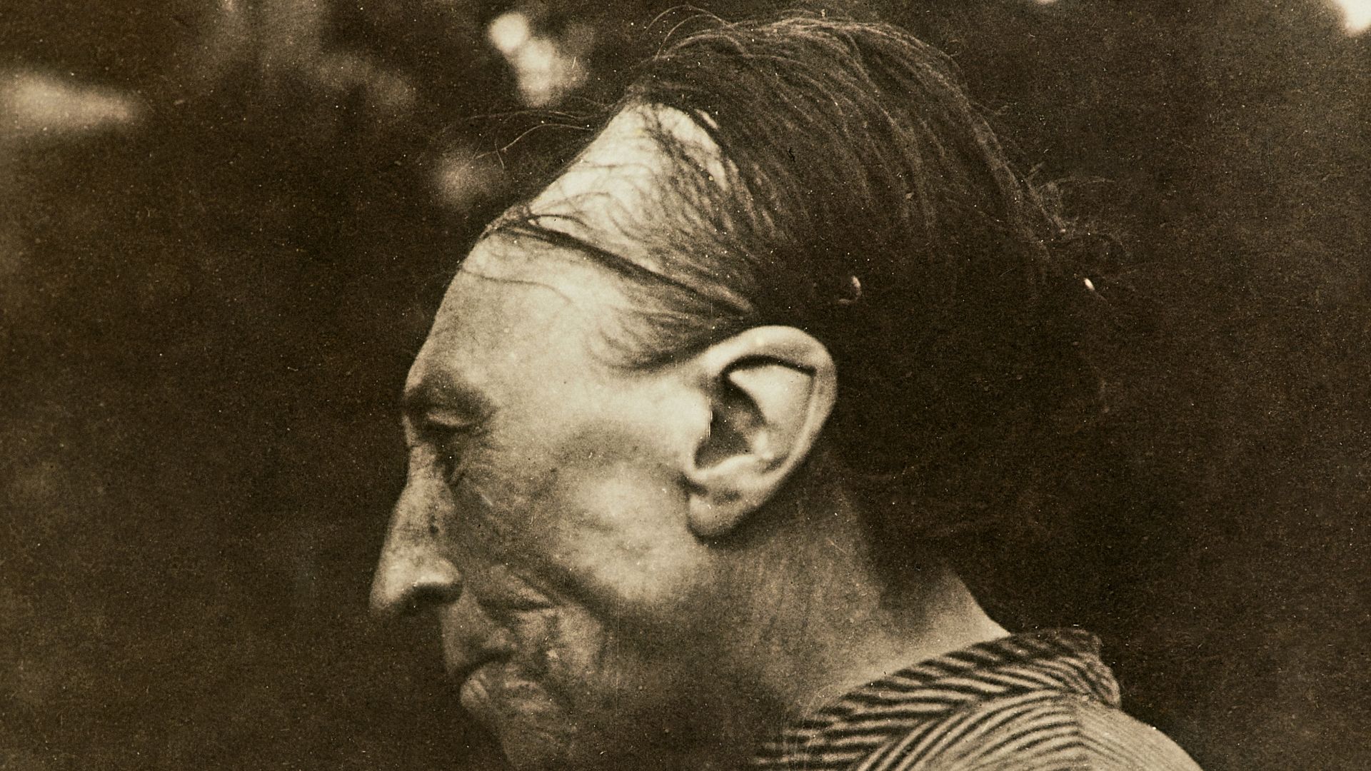 File:« déformation toulousaine » MHNT.jpg