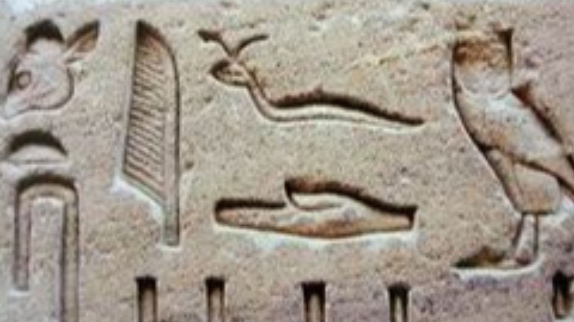 File:Egypt Hieroglyphe4.jpg