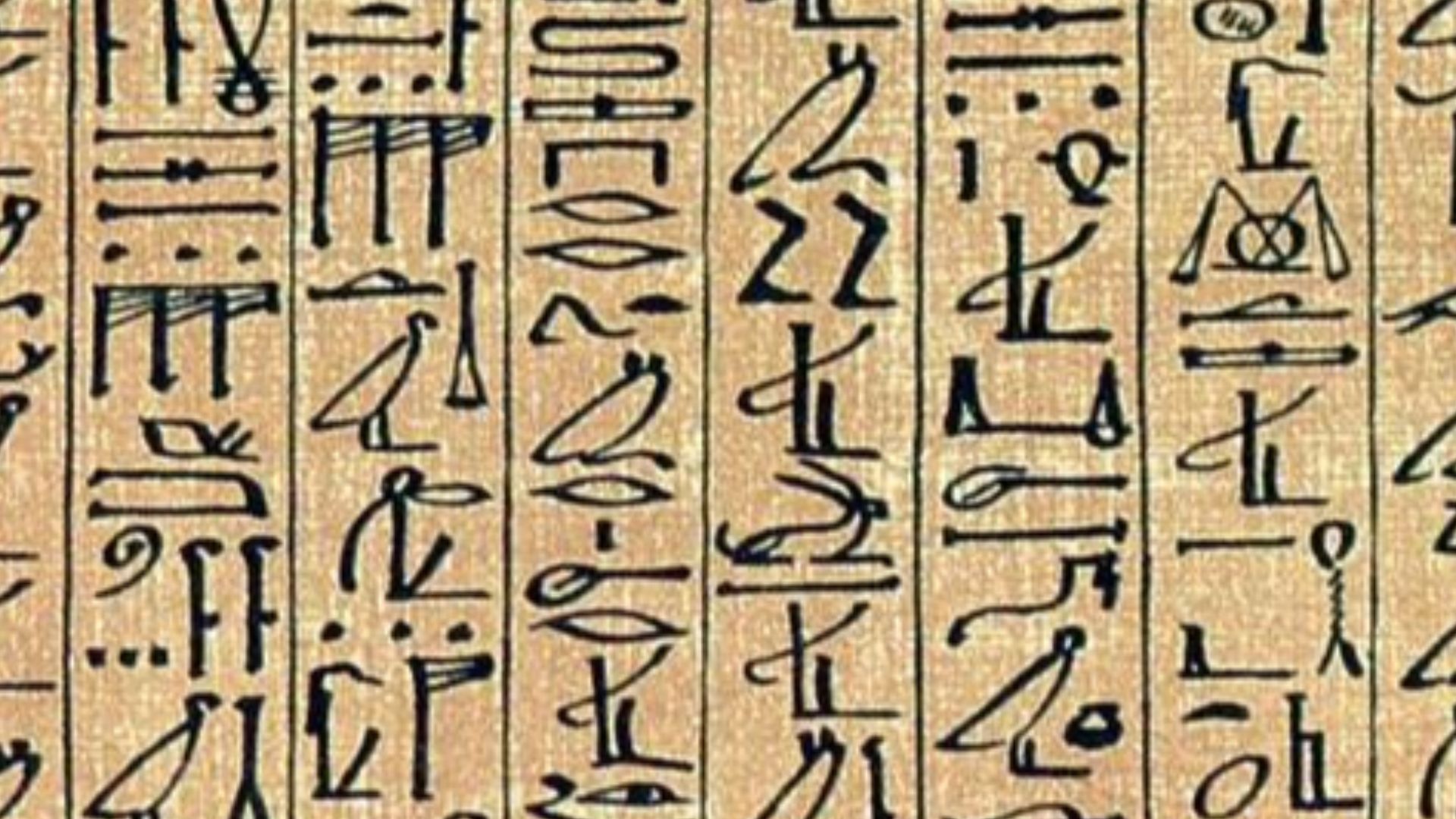 File:Papyrus Ani curs hiero.jpg
