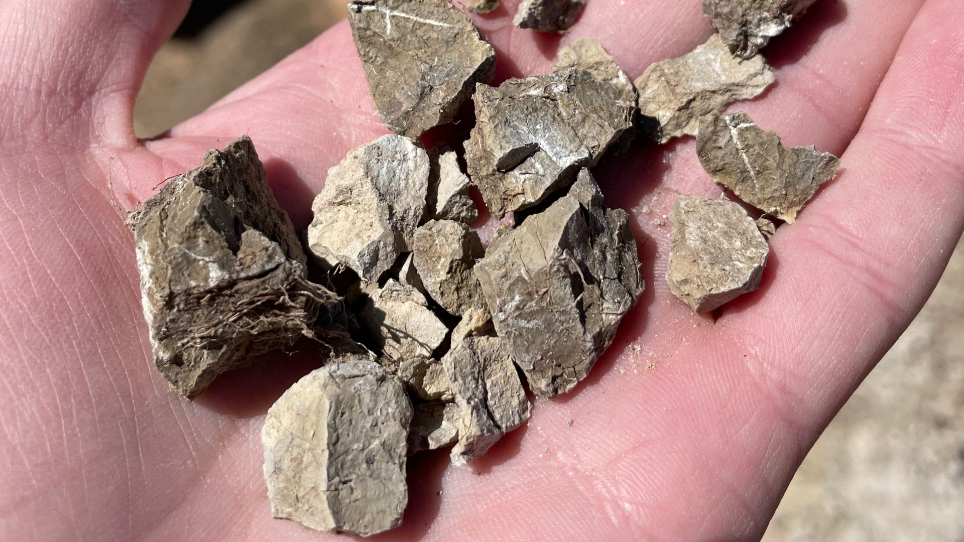 File:Angular blocky soil structure.jpg