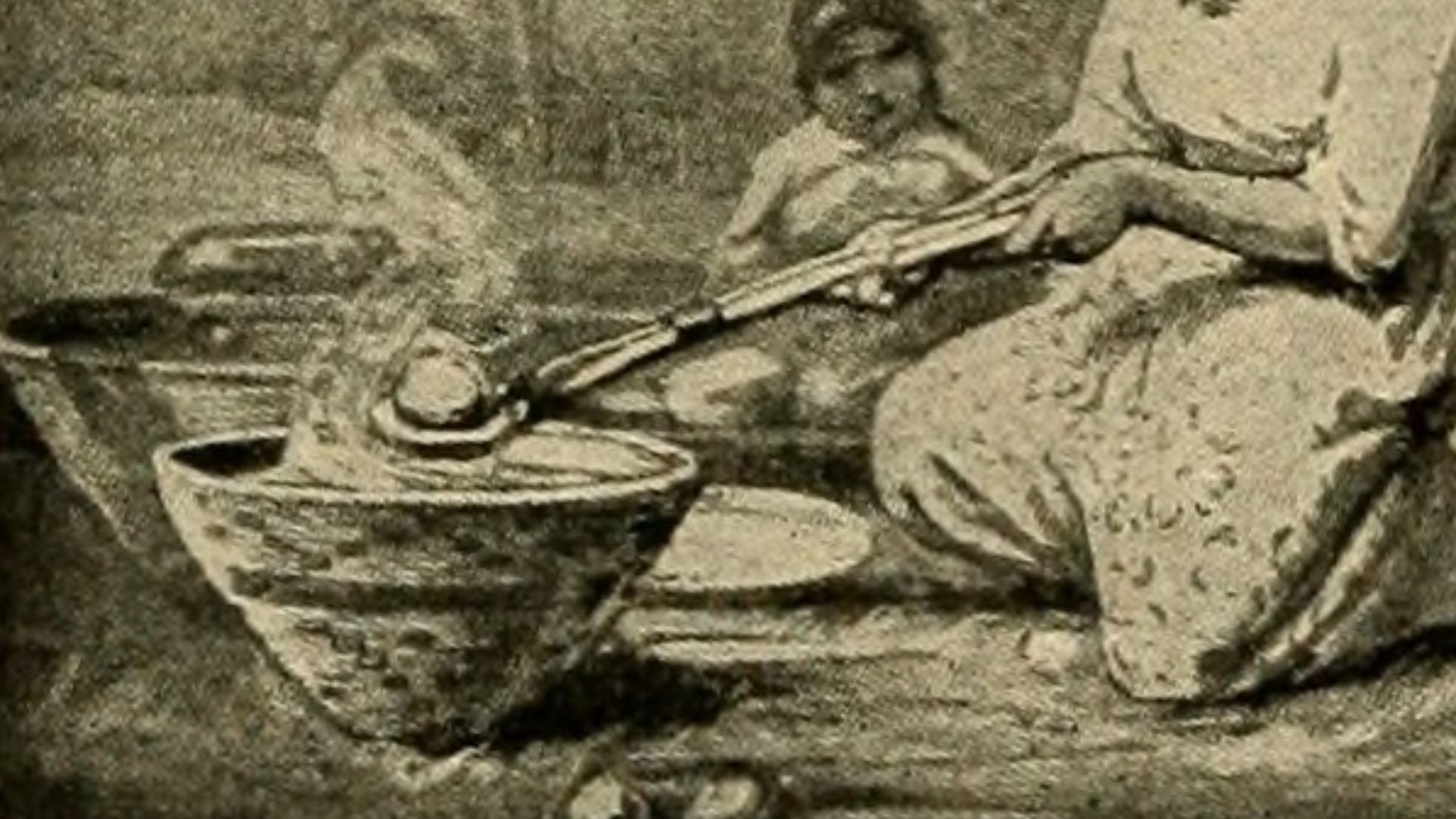 File:Image from page 485 of