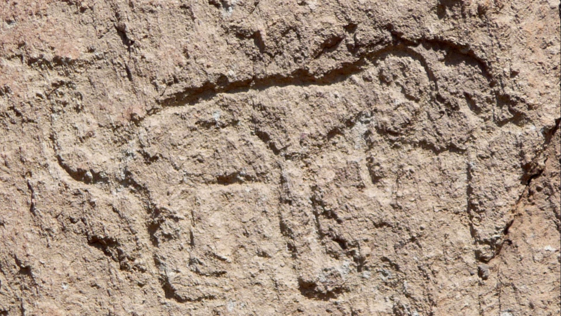 File:Bandelier National Monument in September 2011 - Cliff Dwellings - petroglyph - animal figure.JPG