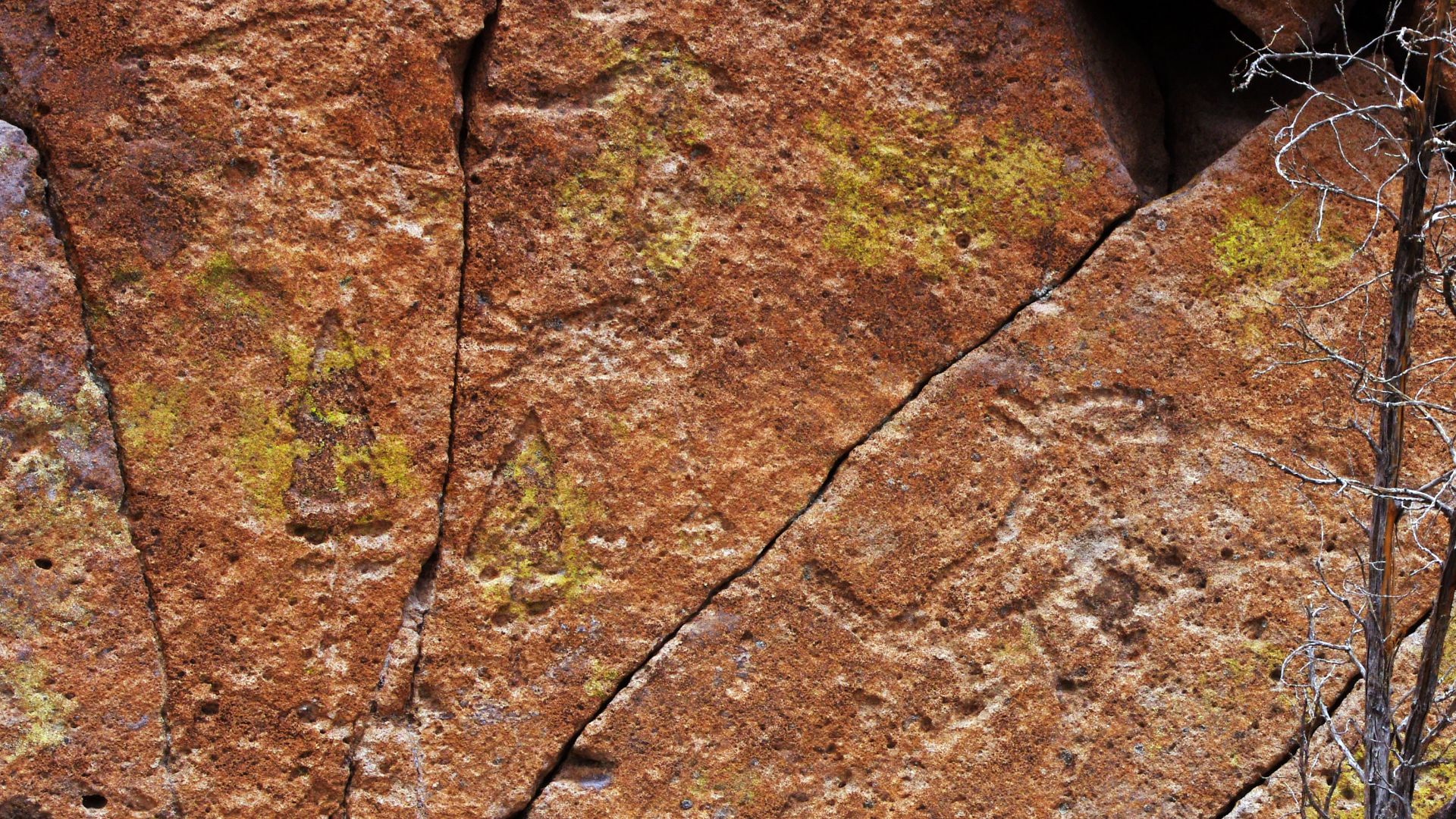 File:Petroglyphs at Tsankawi (5988536813).jpg