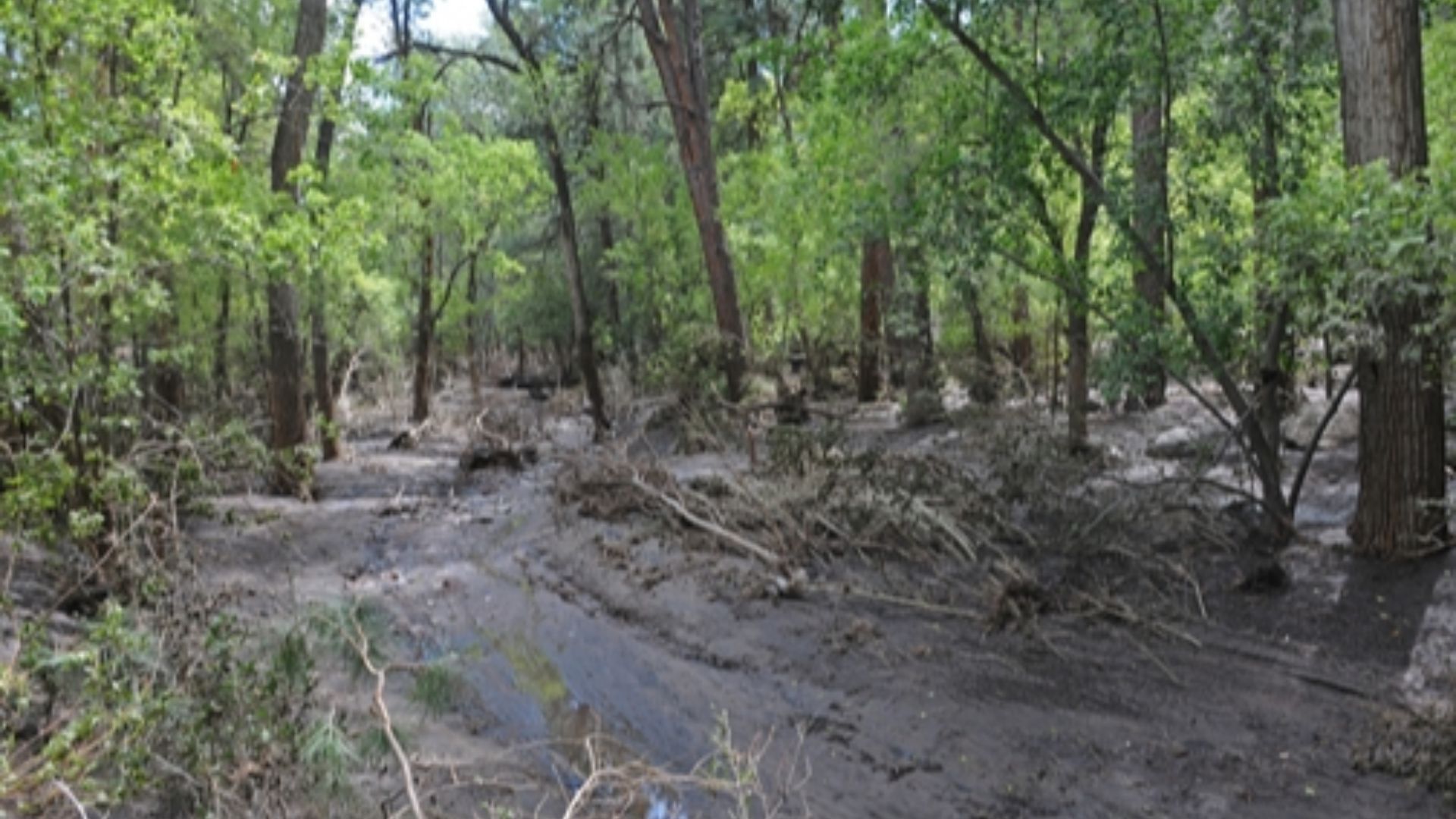 File:Frijoles Canyon flood 4.jpg