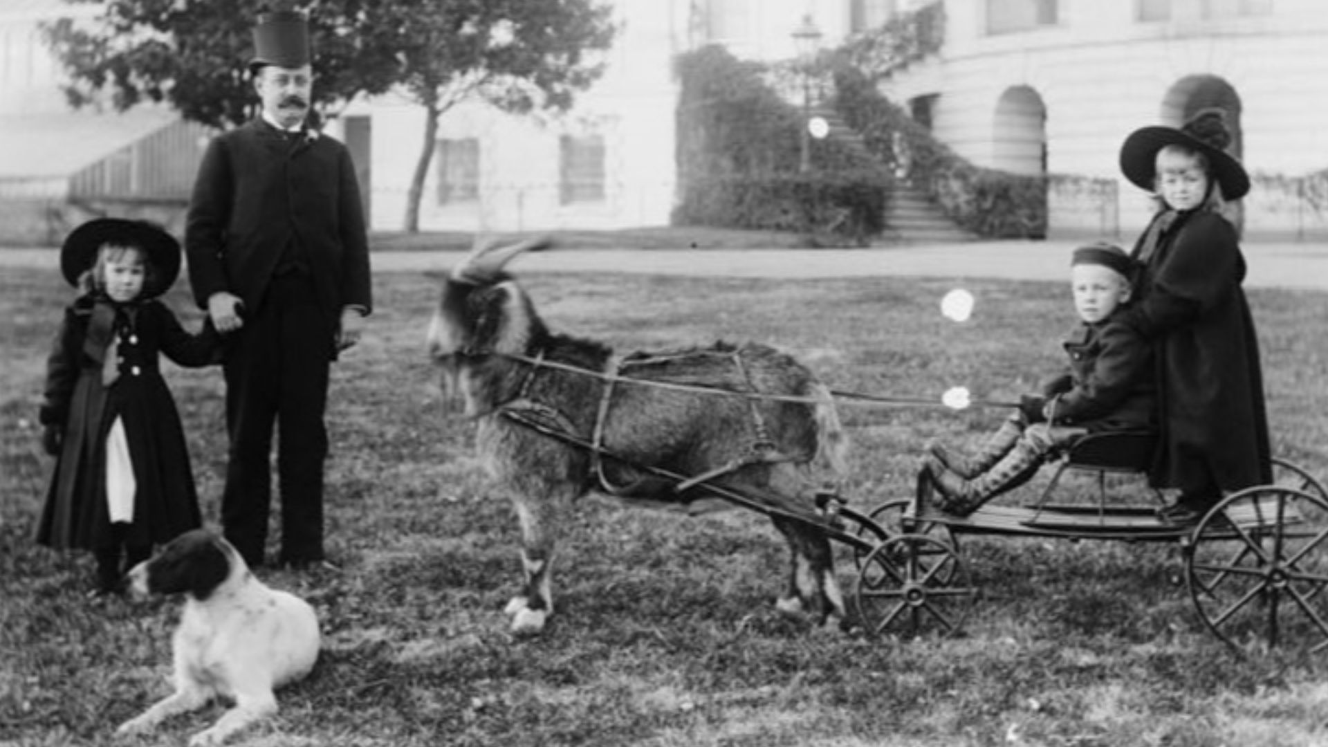 File:White House--Major Russell Harrison and Harrison children--Baby McKee and sister on goat cart.jpg