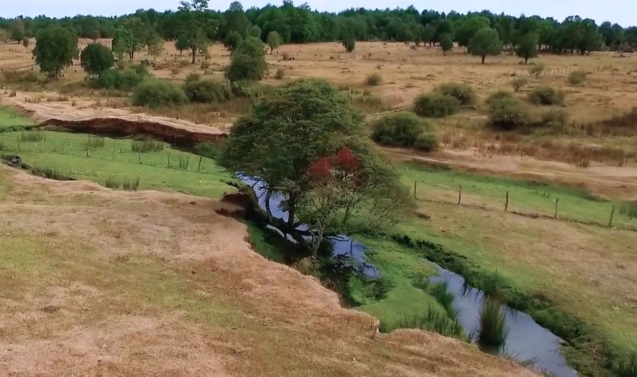 Monte Verde in Chile