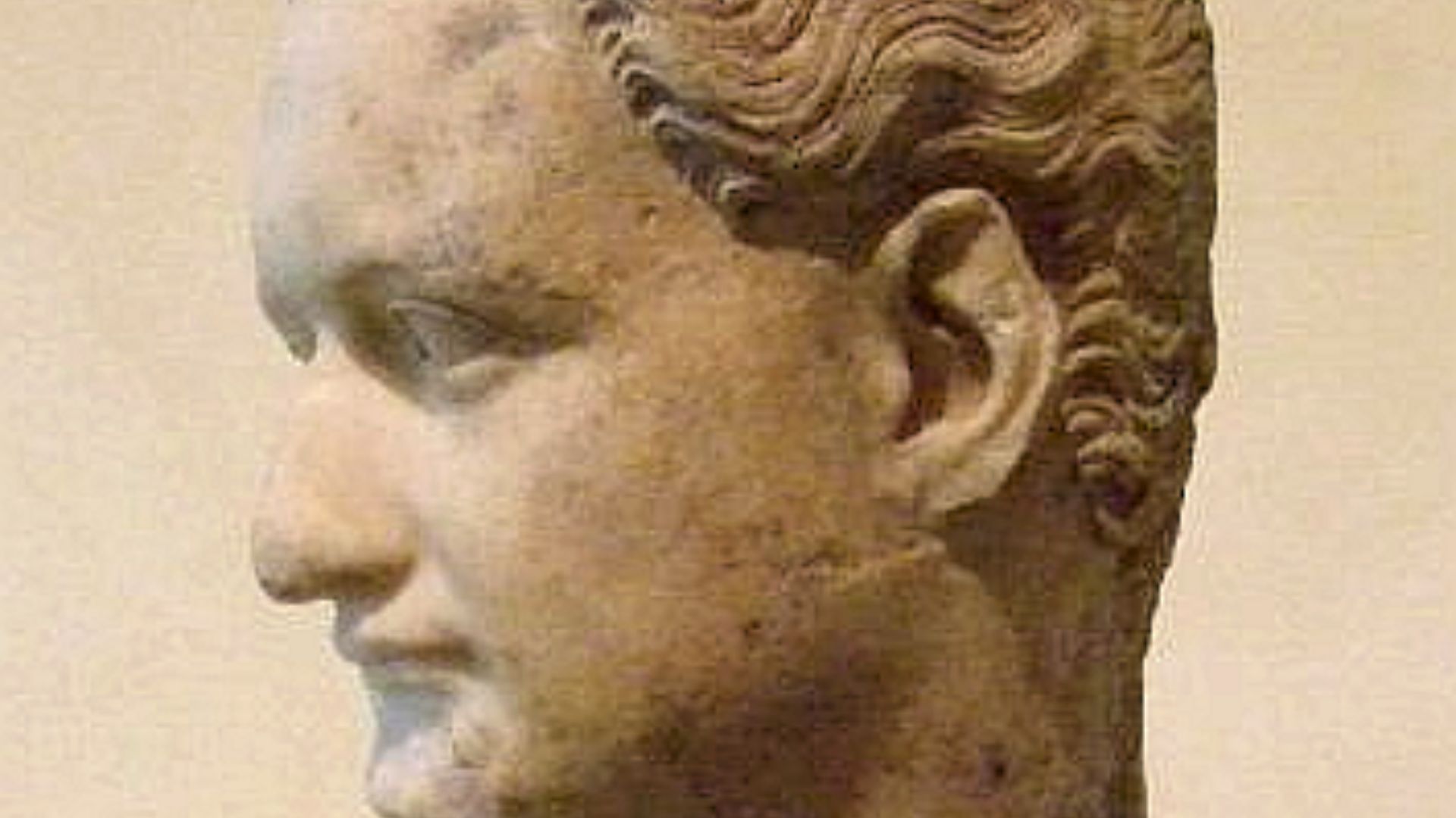 File:Domitian capitoline profile left.png