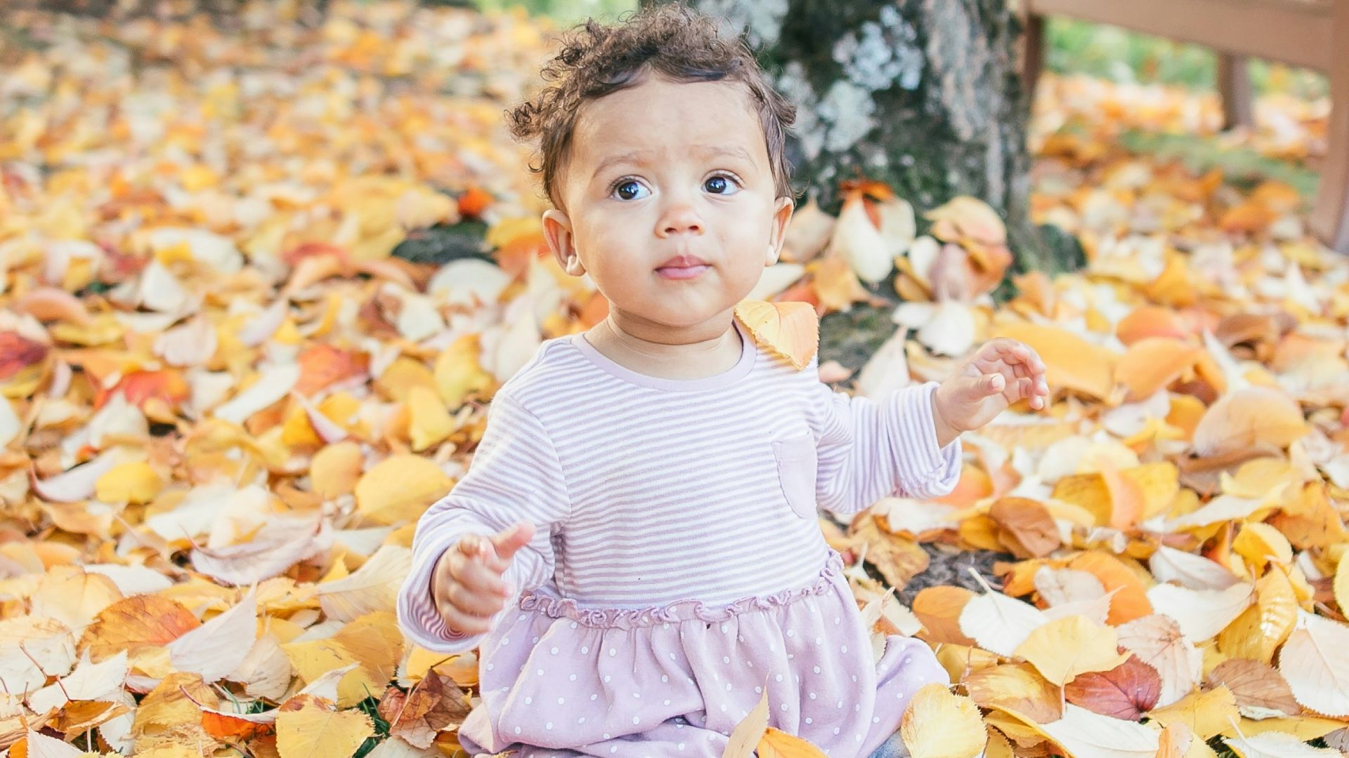 toddler sitting on leaf-covered ground near bench during daytime