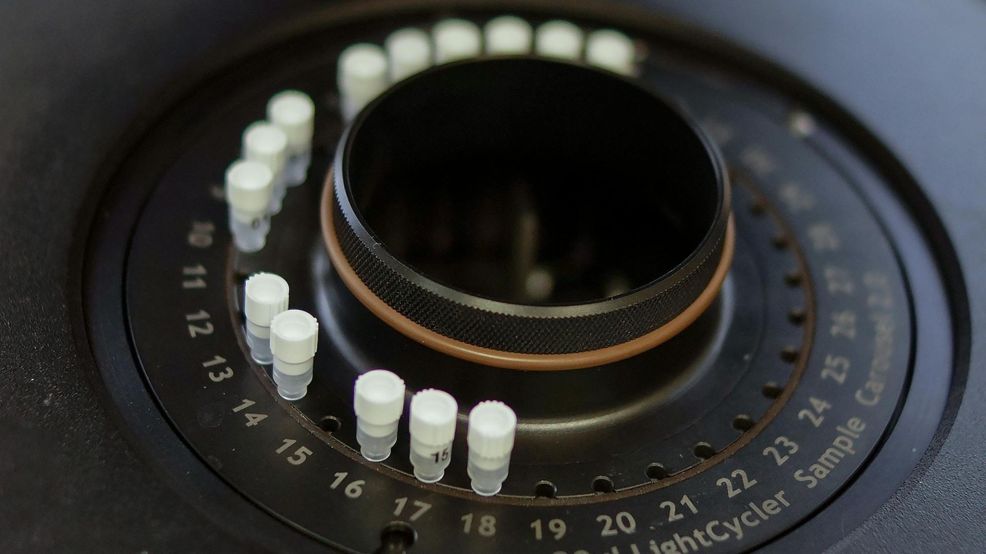 Katarzyna Modrzejewska