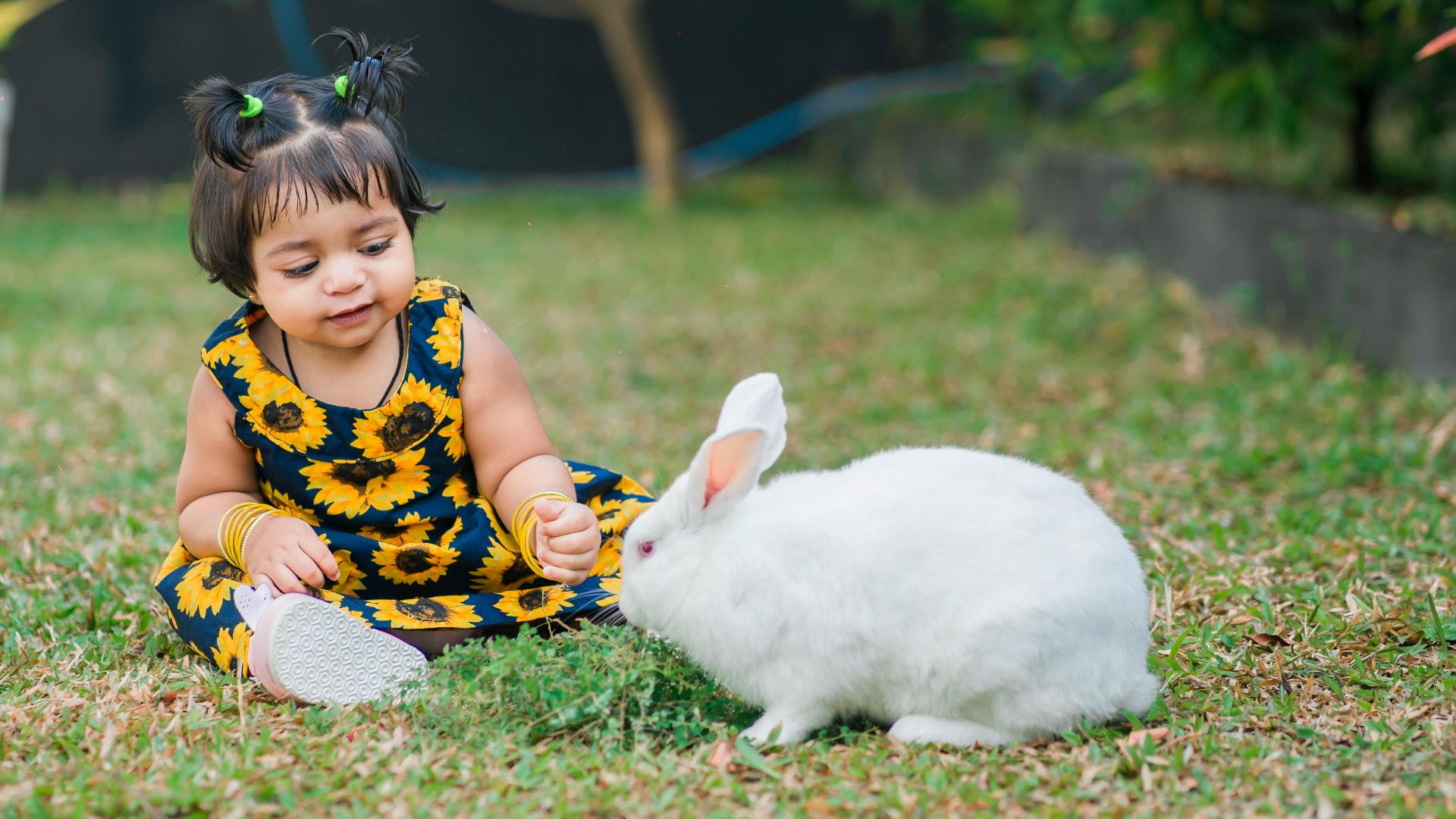 Chathuranga Thennakoon