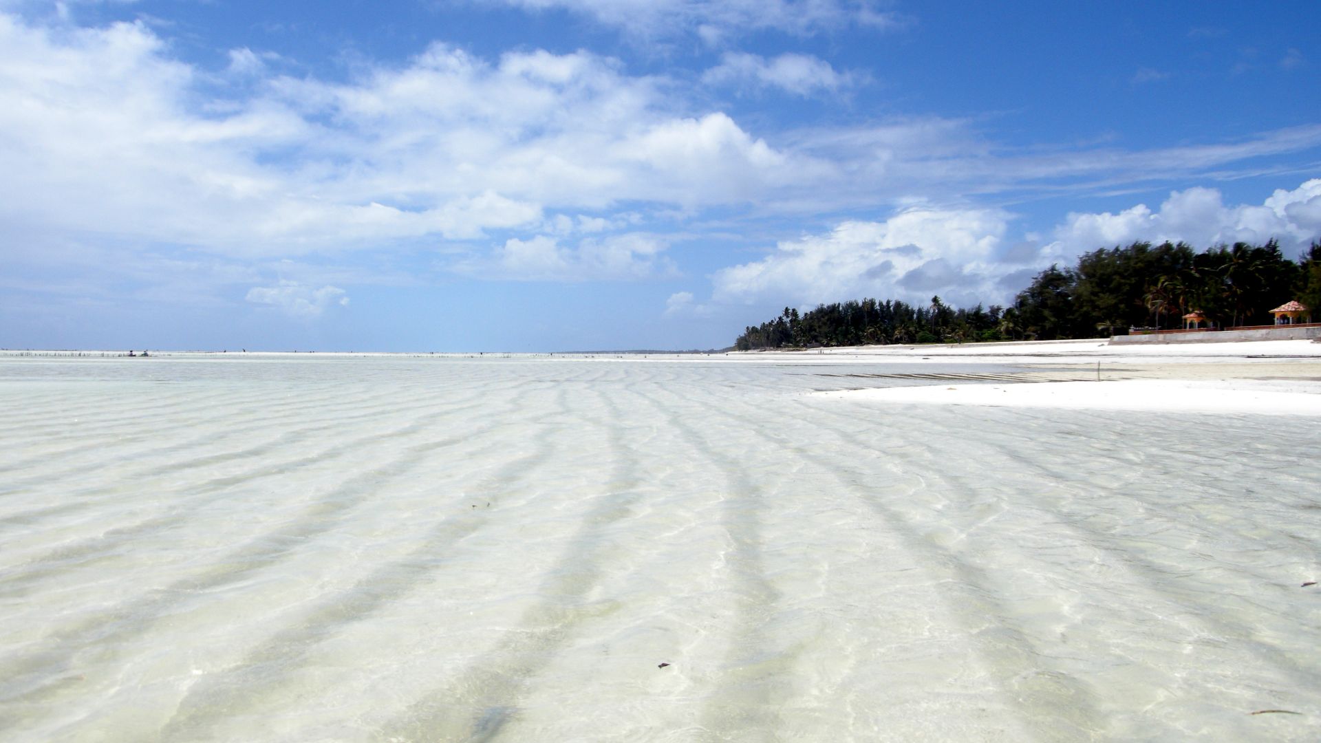 File:Paje beach at low tide.jpg