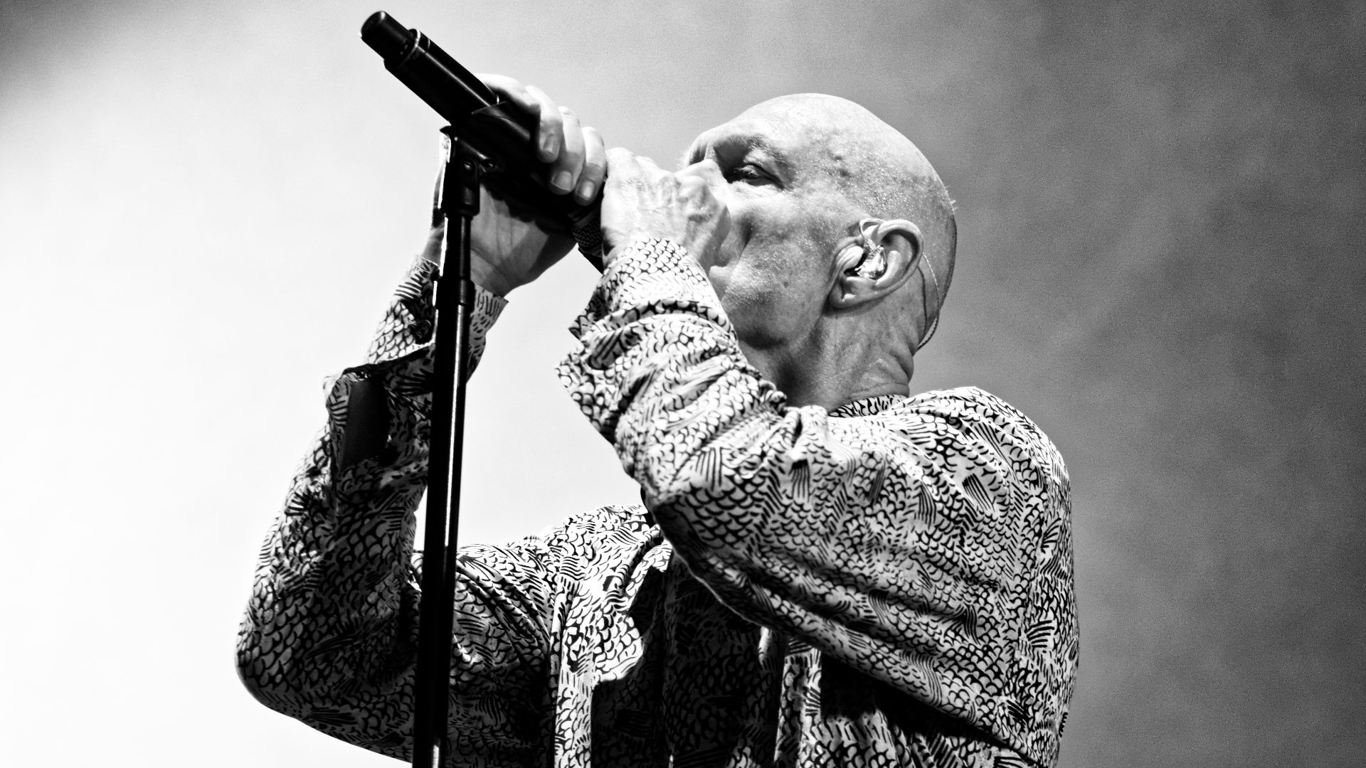 File:Festival des Vieilles Charrues 2017 - Midnight Oil - 077.jpg