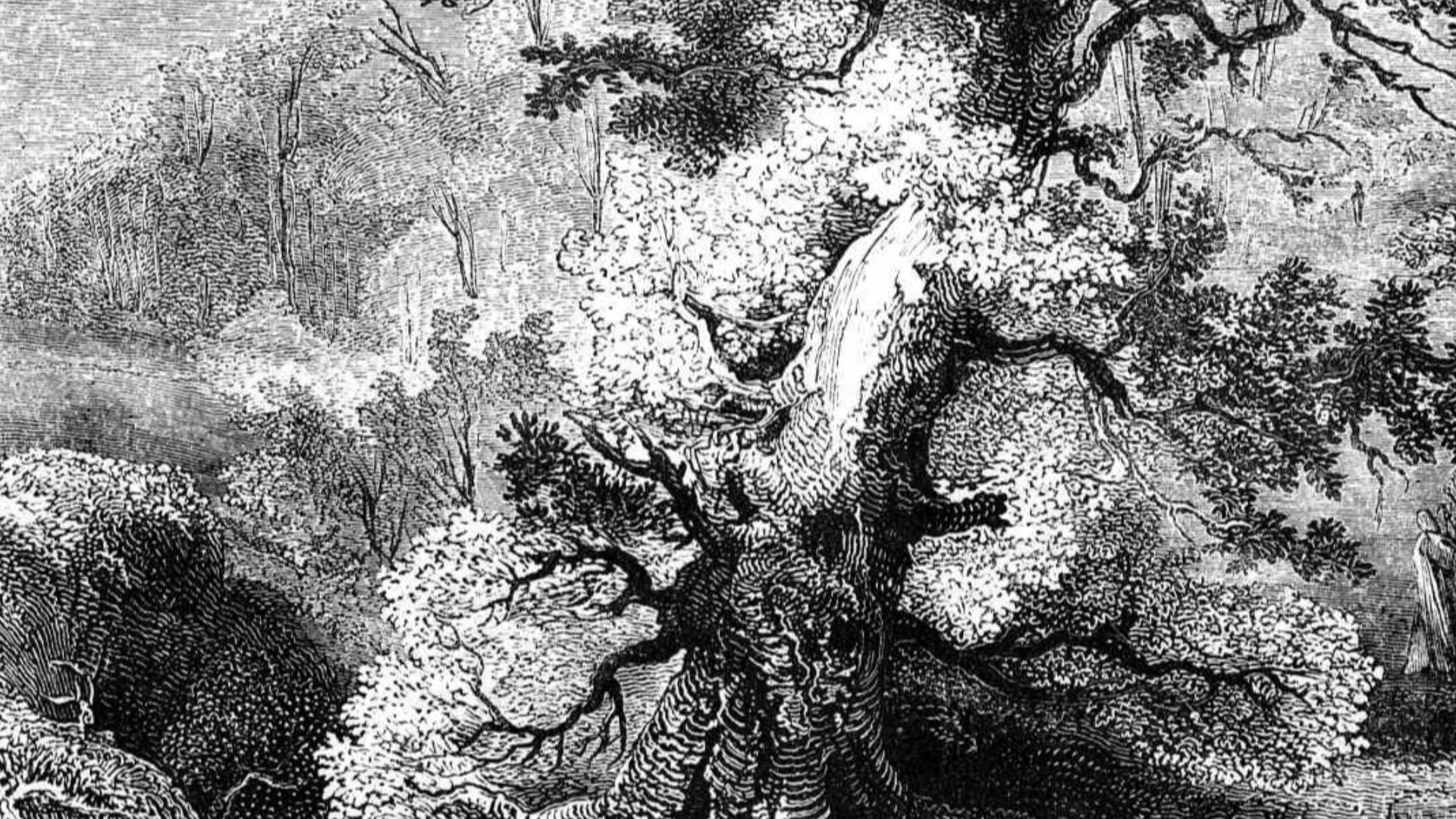 File:The Druid Grove.PNG