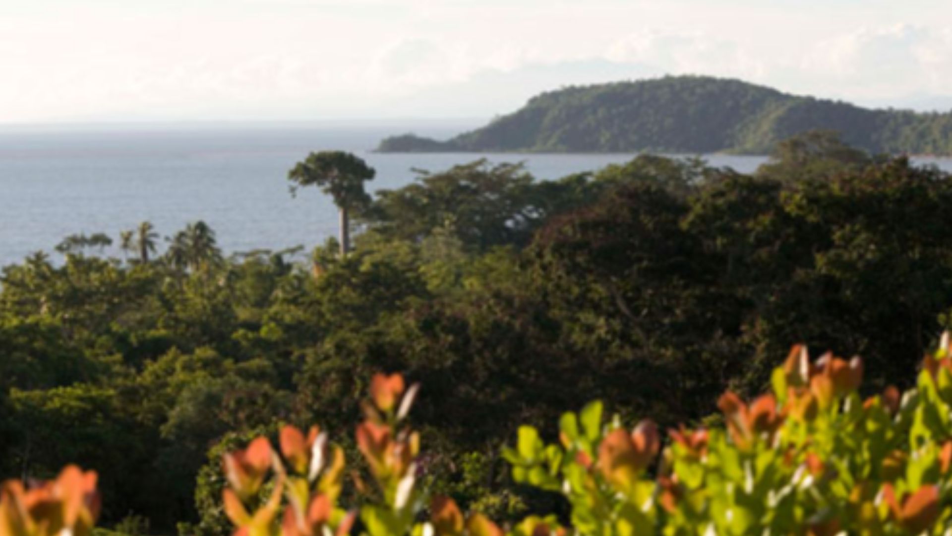 File:La palma, Darién.jpg