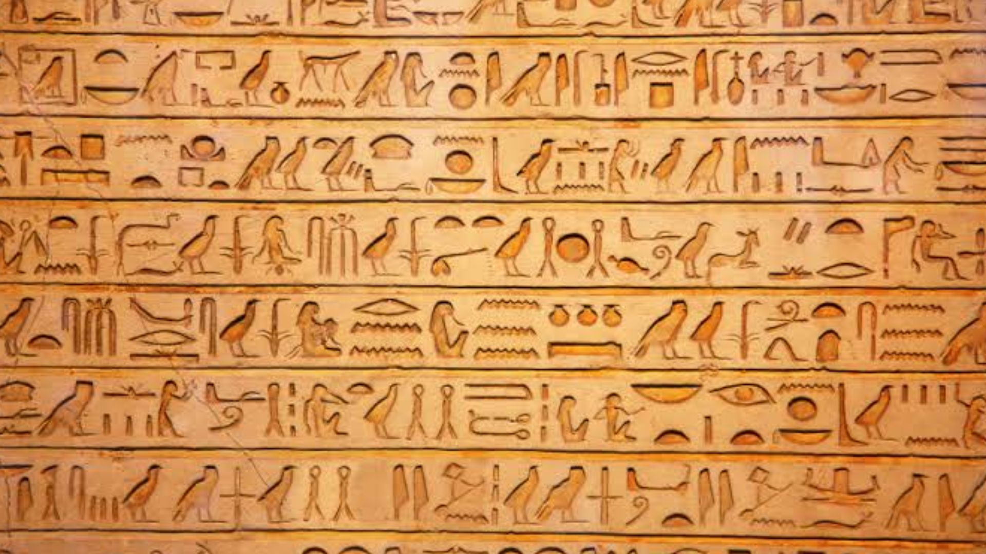File:Egyptian hieroglyphics.jpg