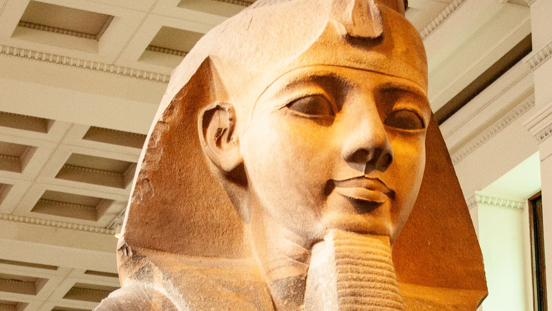 File:Colossal bust of Ramesses II in the British Museum.jpg