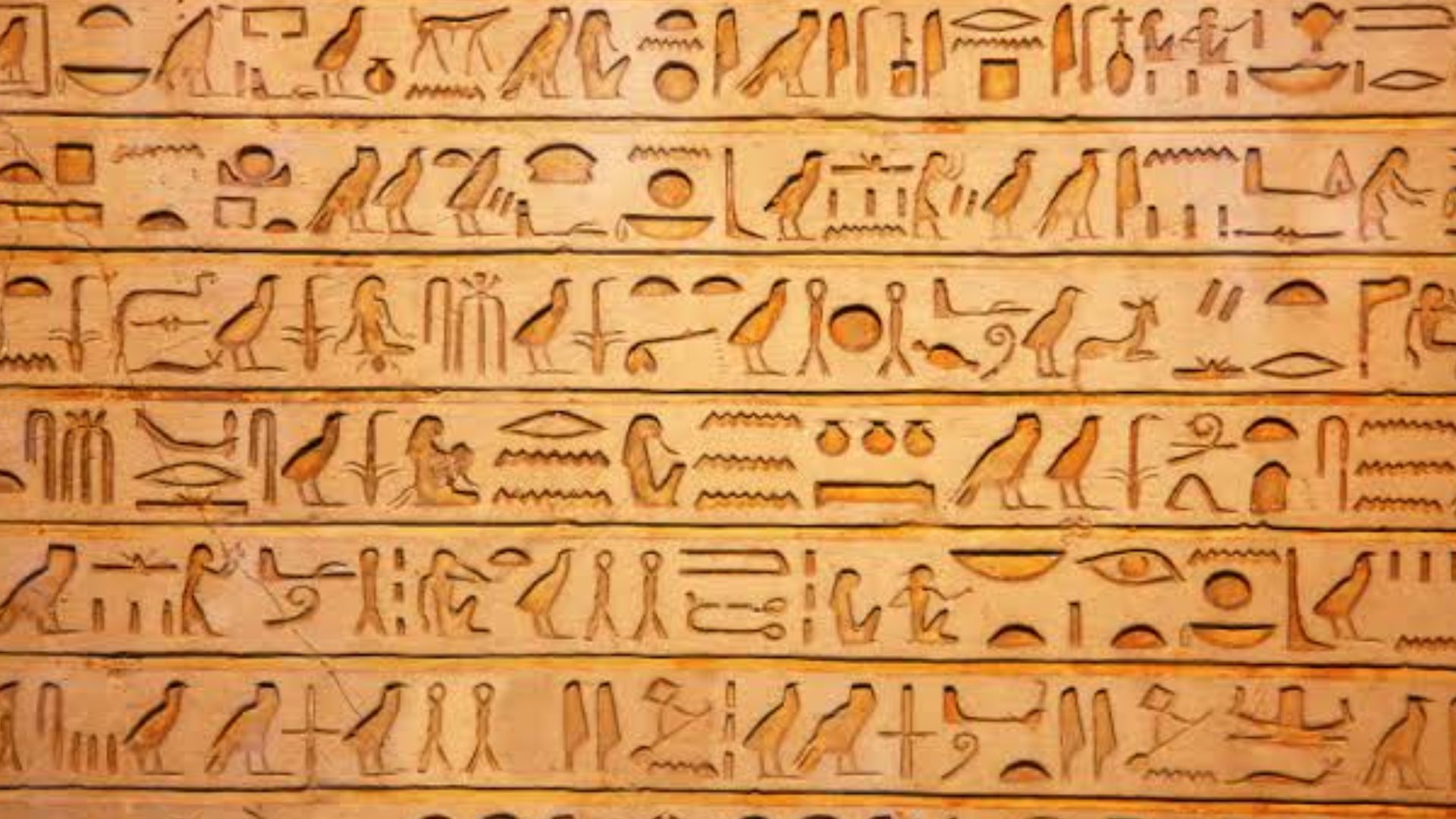 File:Egyptian hieroglyphics.jpg