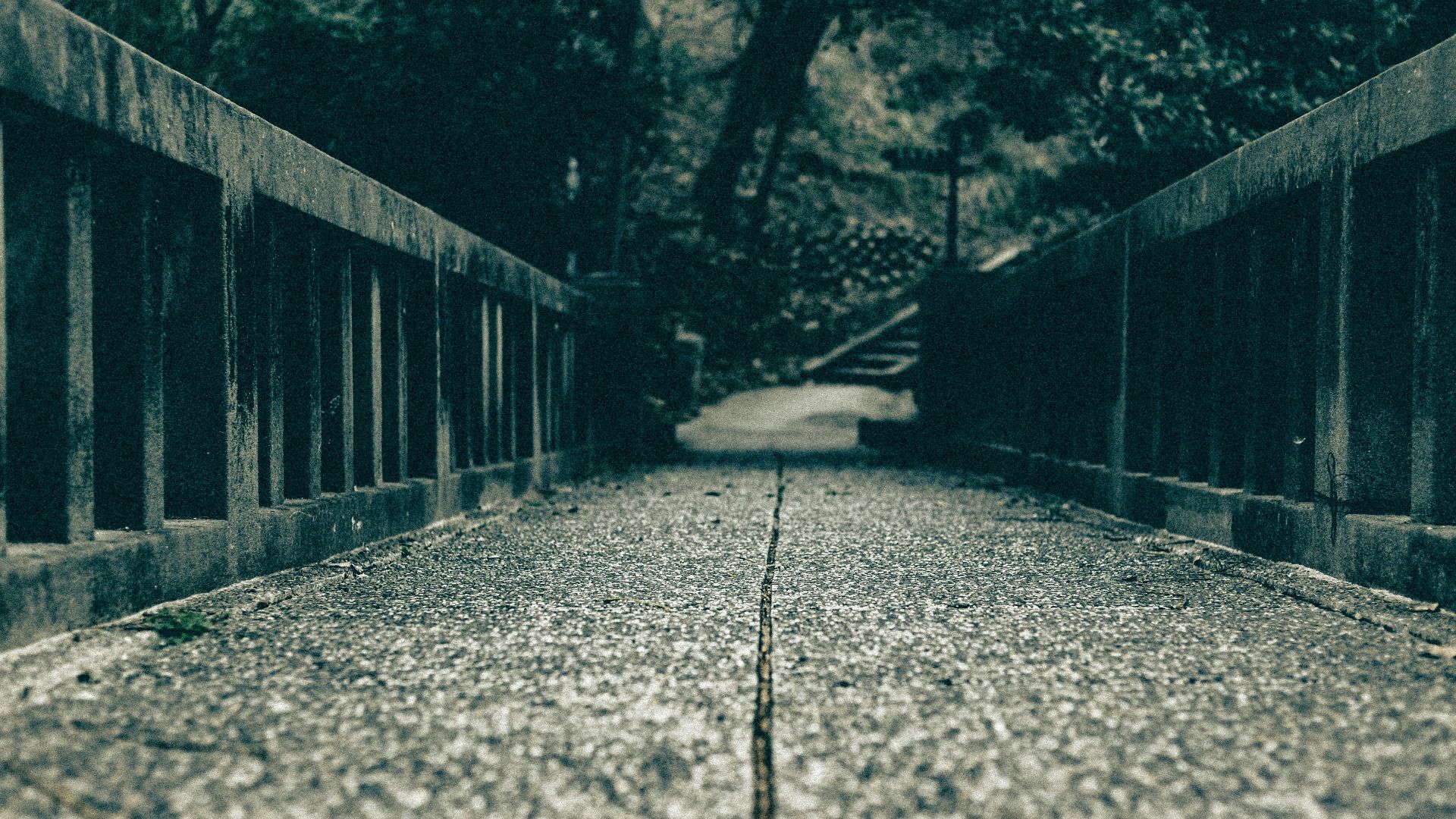 a long walkway with a tree in the background