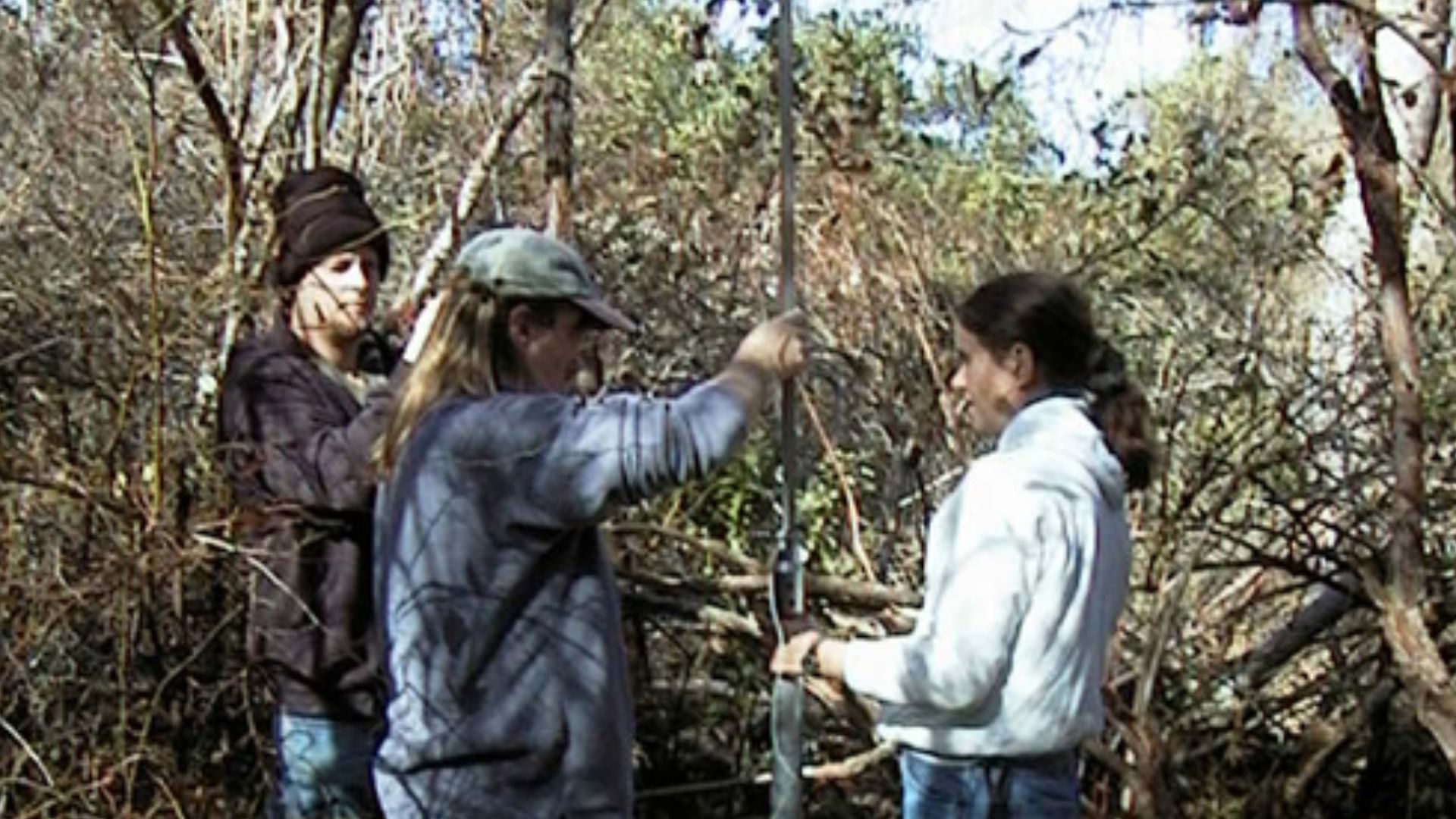File:Pollen core sampling.jpg