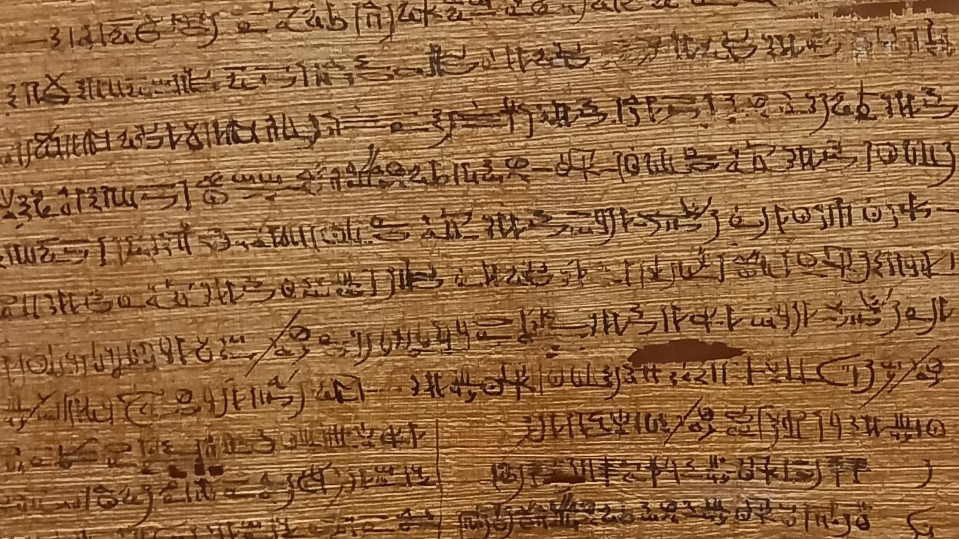 File:Livre des Respirations de Padiimenipet BnF.jpg