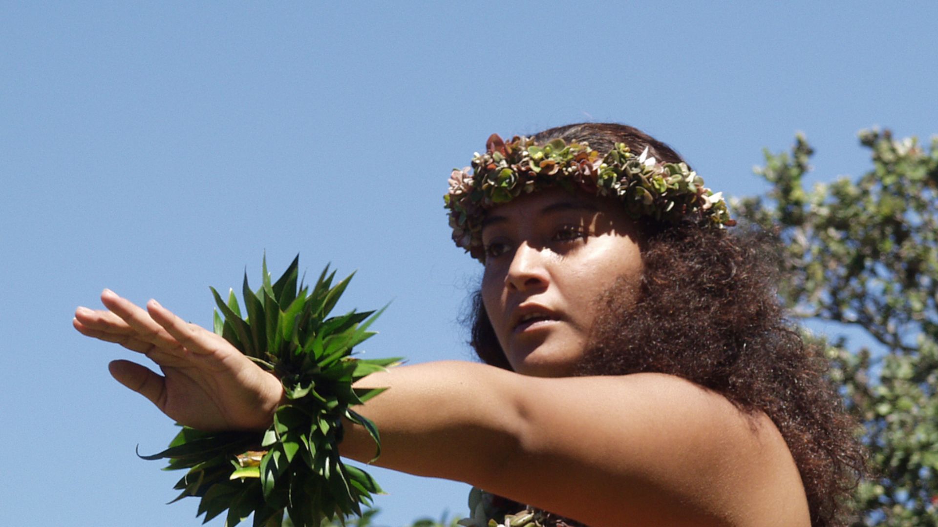 File:Hula Kahiko Hawaii Volcanoes National Park 01.jpg