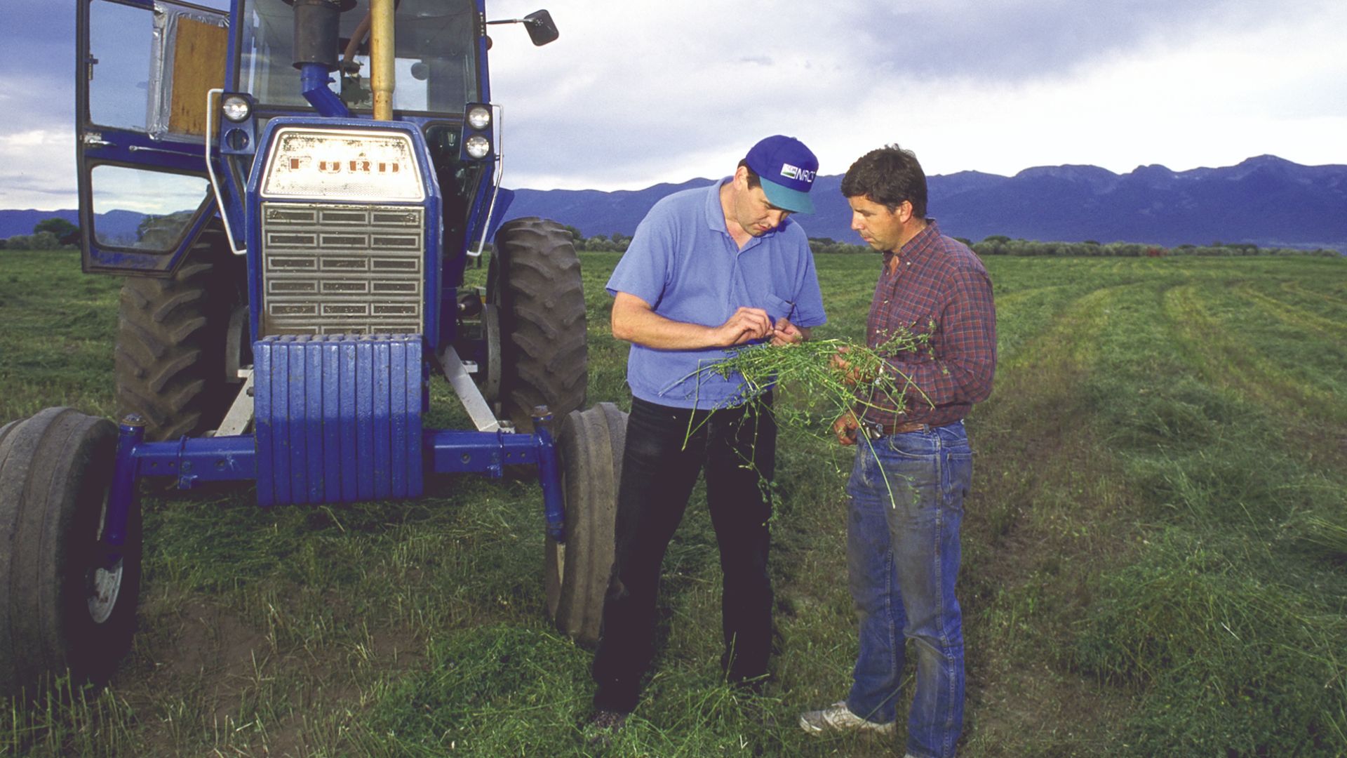 File:NRCSMT97009 - Montana (5073)(NRCS Photo Gallery).jpg