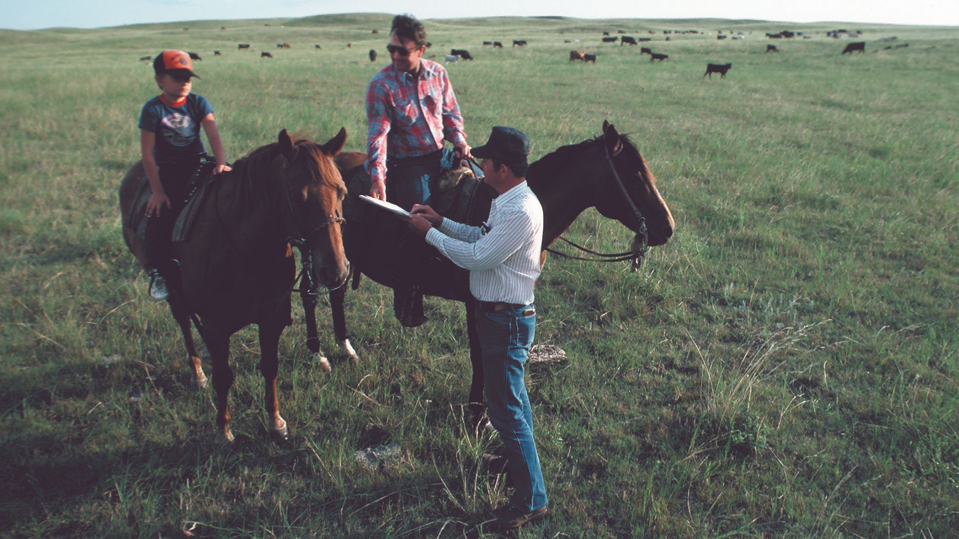 File:NRCSSD85018 - South Dakota (6219)(NRCS Photo Gallery).jpg