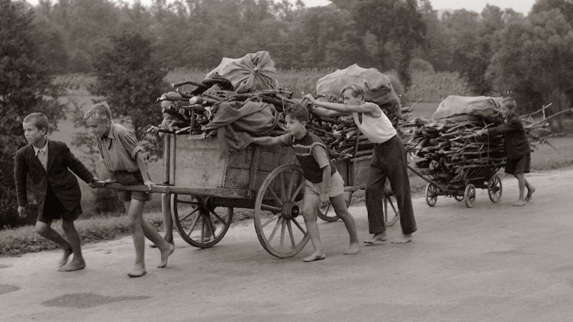 File:Otroci dovažajo kurjavo za zimo v predmestjih Maribora 1955.jpg