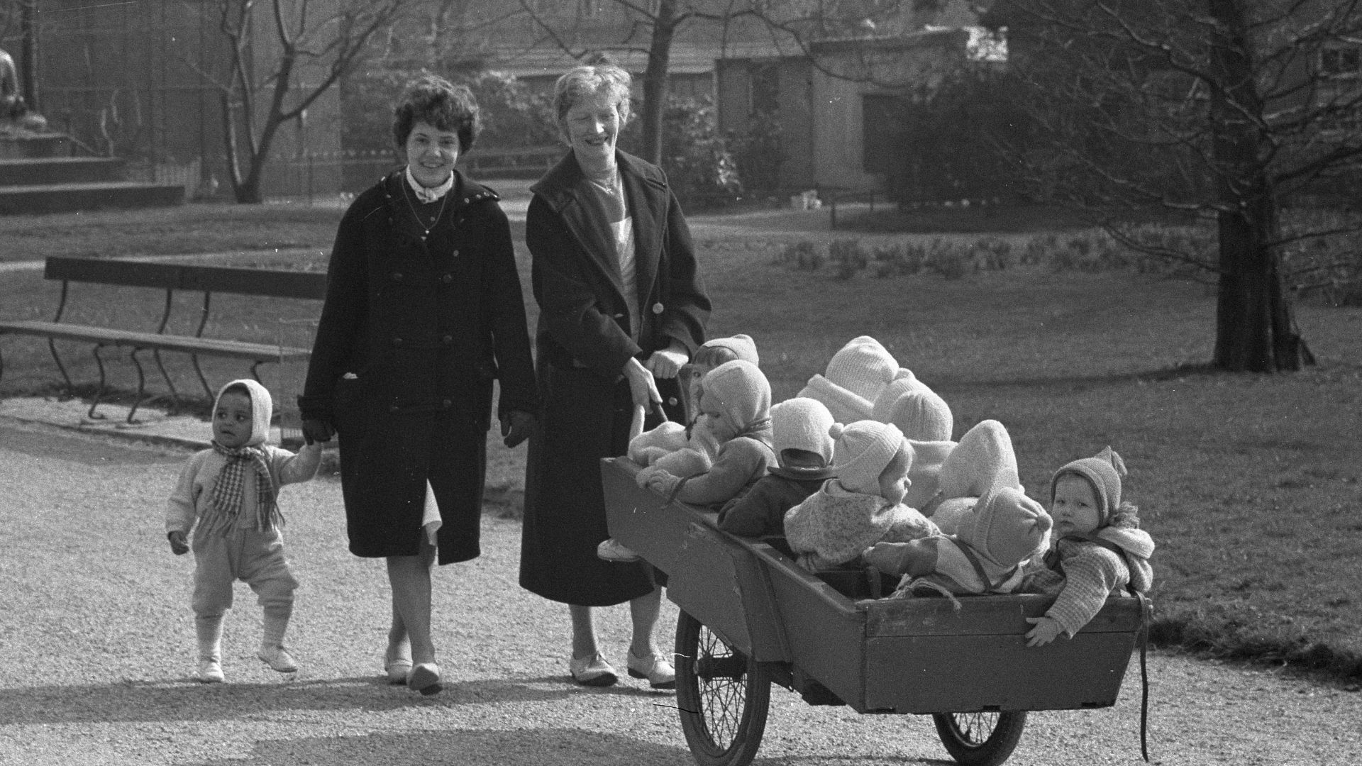 File:Schilders in Artis in een kooi aan het schilderen, kinderen in Artis, Bestanddeelnr 911-1279.jpg