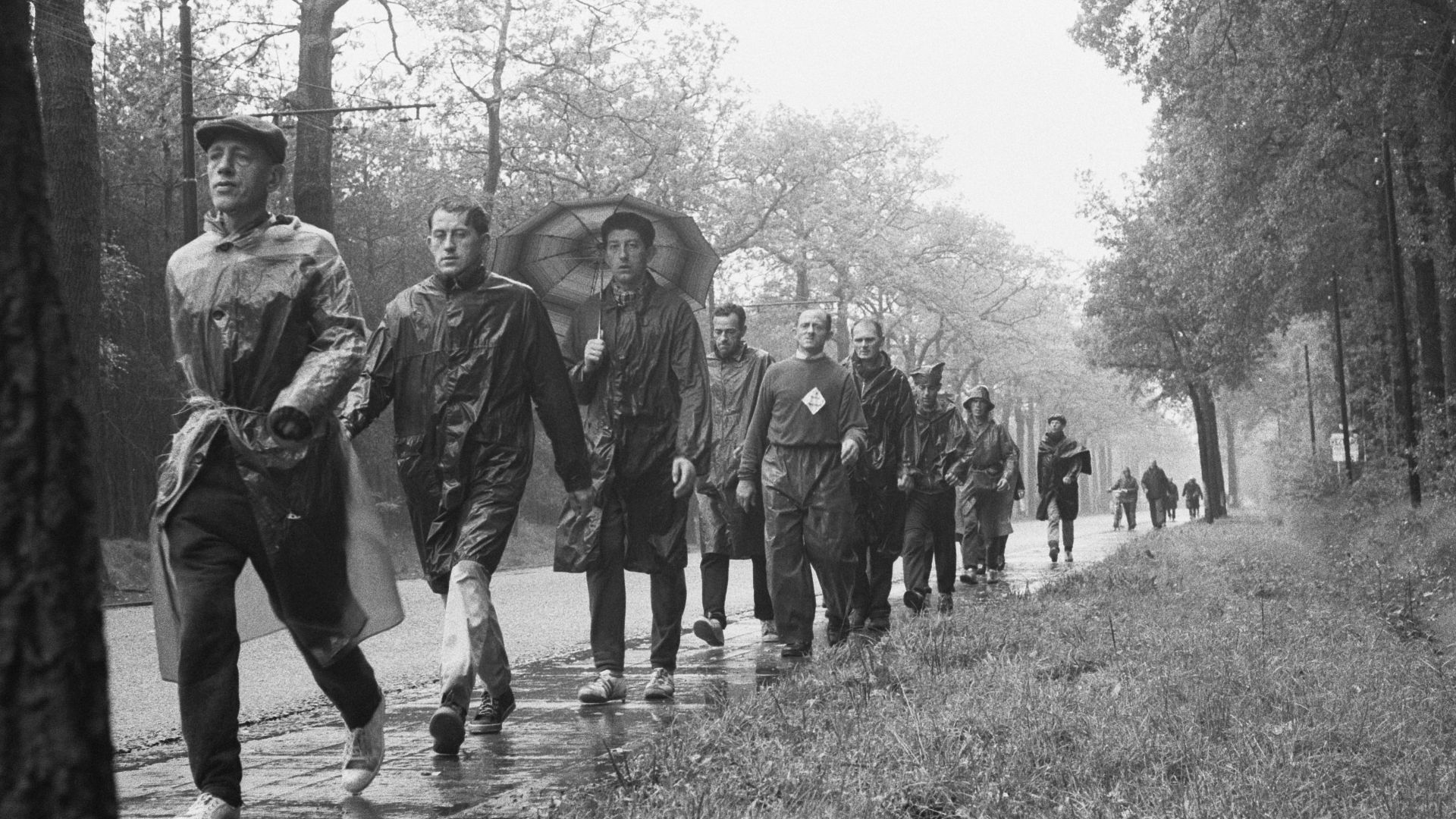File:Wandelmars Parijs Amsterdam, de groep deelnemers weer op eigen bodem in de buurt, Bestanddeelnr 917-0112.jpg