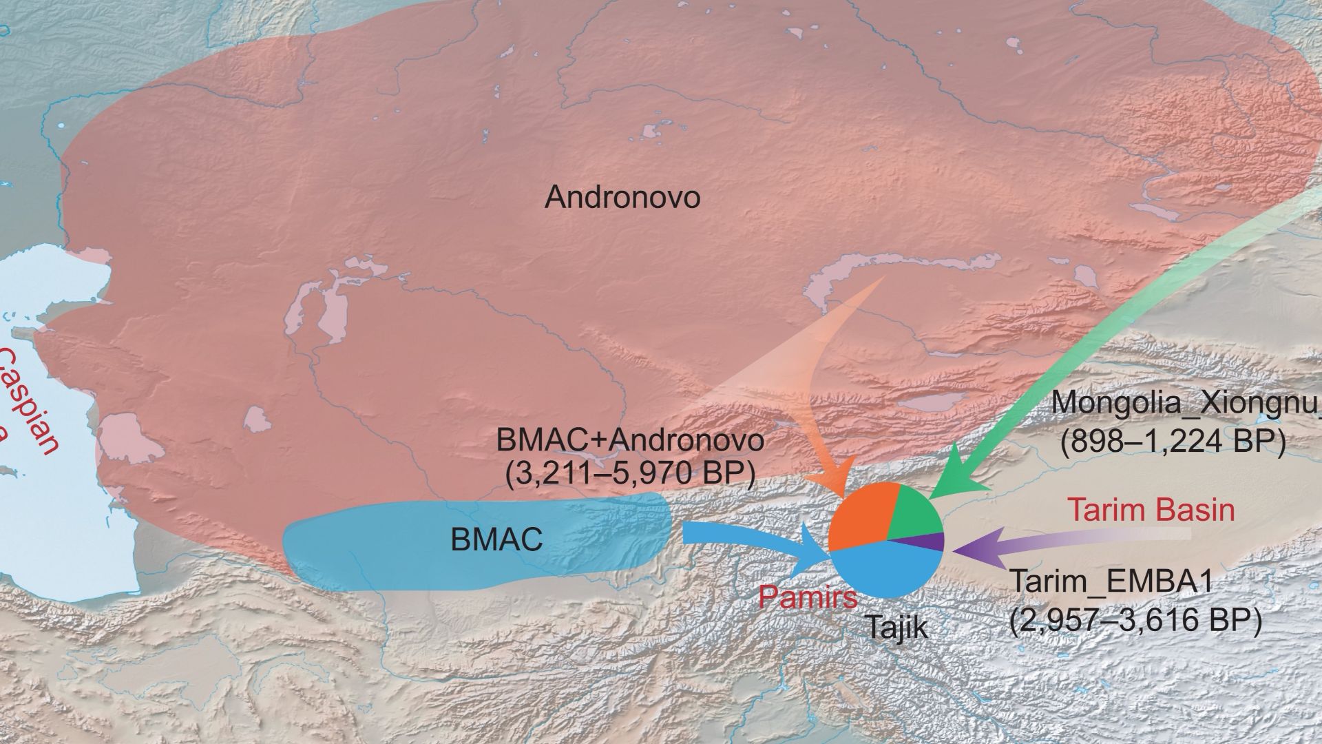 File:Genetic formation of modern Tajik people.jpg
