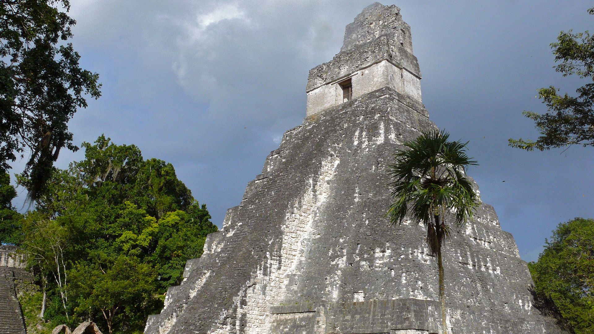 File:The Temple of The Grand Jaguar (6782073775).jpg