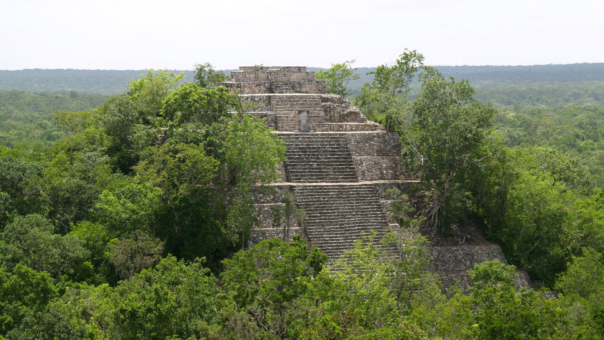 File:Calakmul - Structure I.jpg