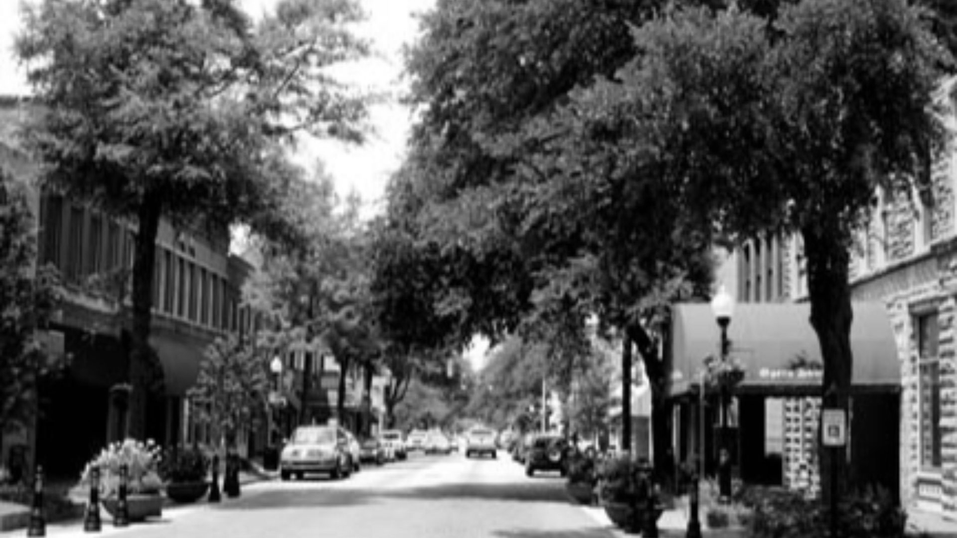 File:Downtown Sumter 2010.jpg