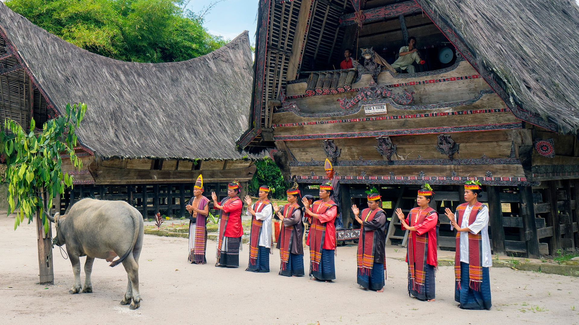 File:Tor-tor Mangalahat Horbo.jpg