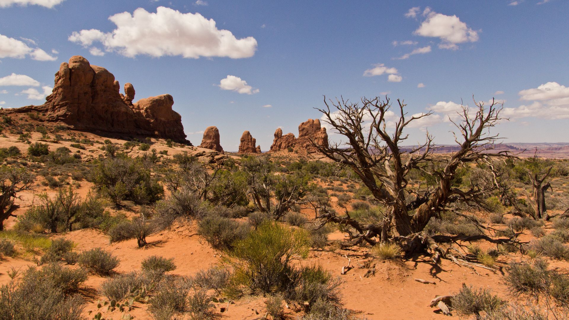 File:Desert Landscape.jpg