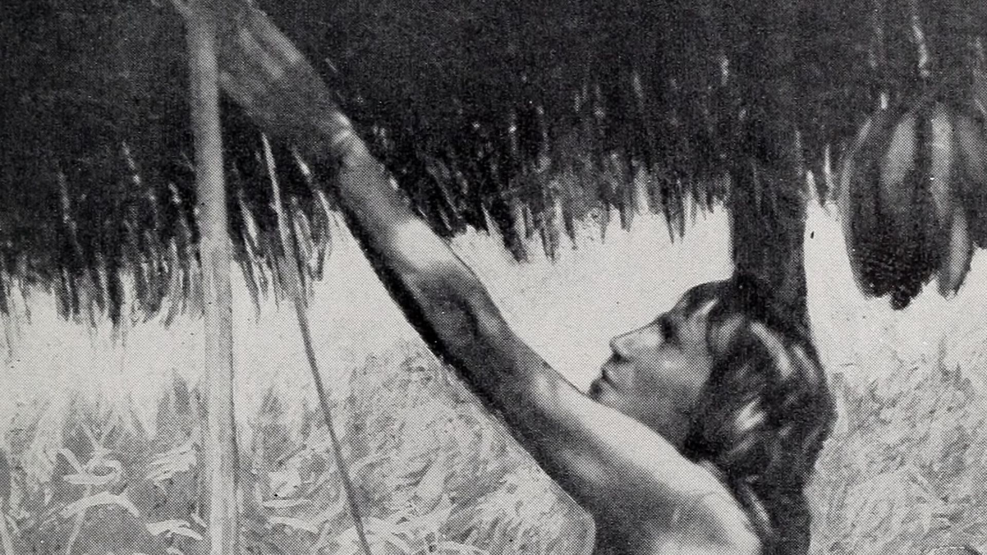 File:Bulletin (1901) (19799602344).jpg