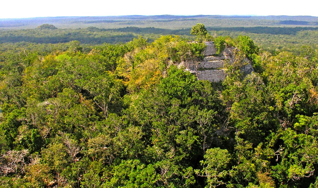 Similarities Were Noted