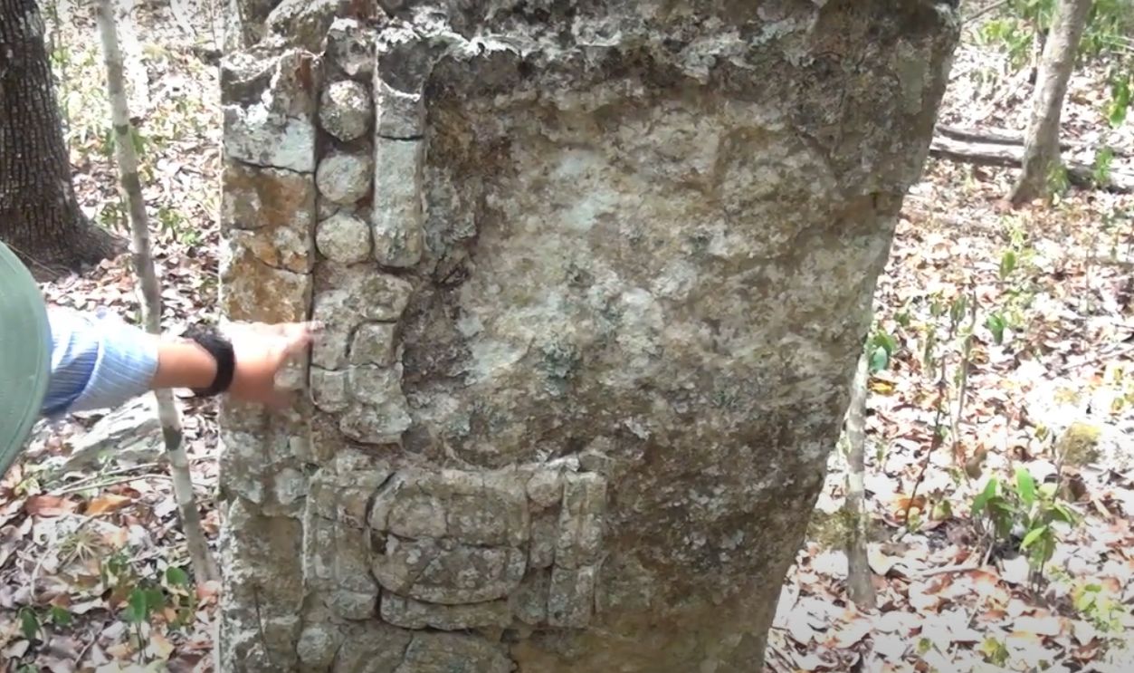 Climate Change Played A Measured Role